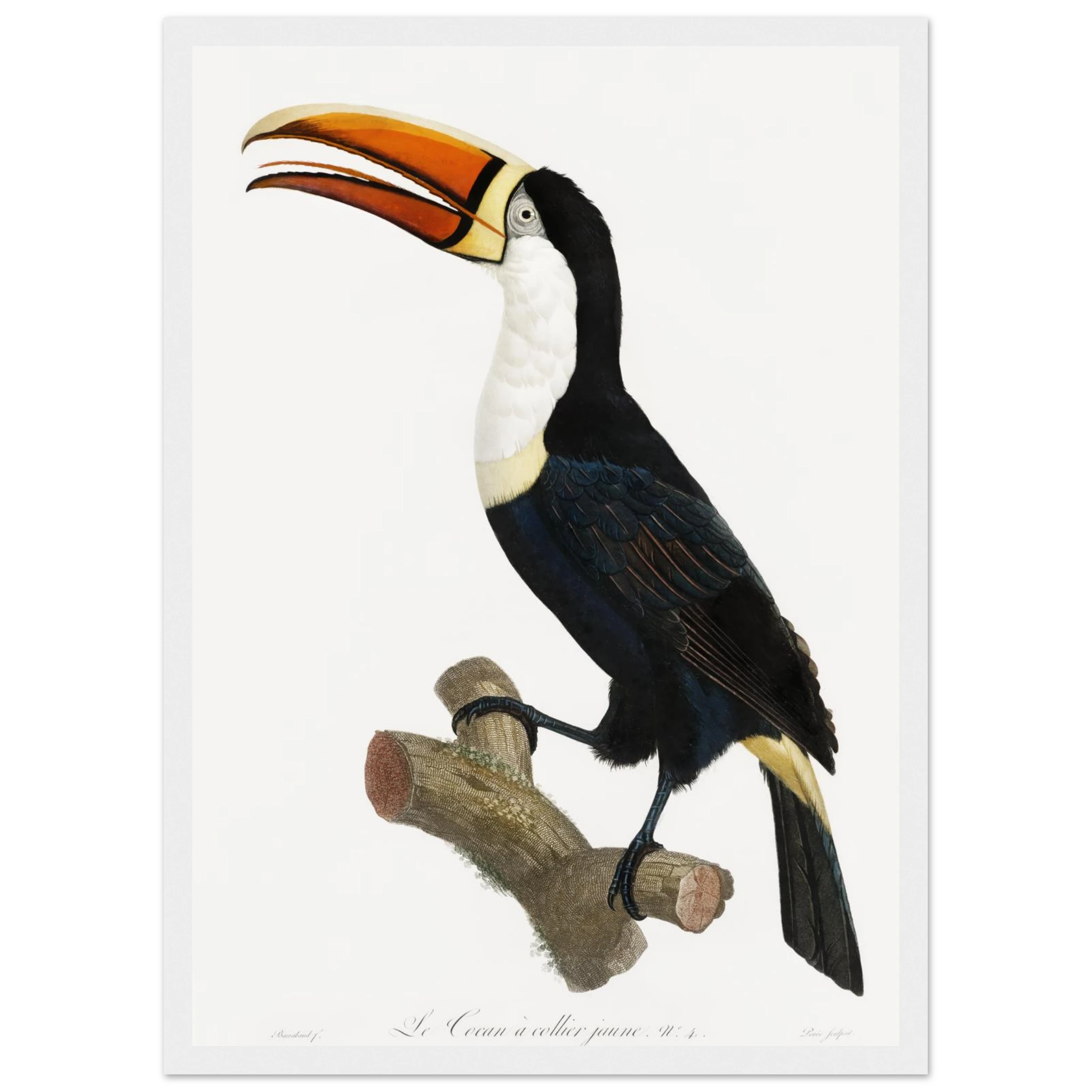 6d47e316-5983-410b-b76e-929b393a19c6