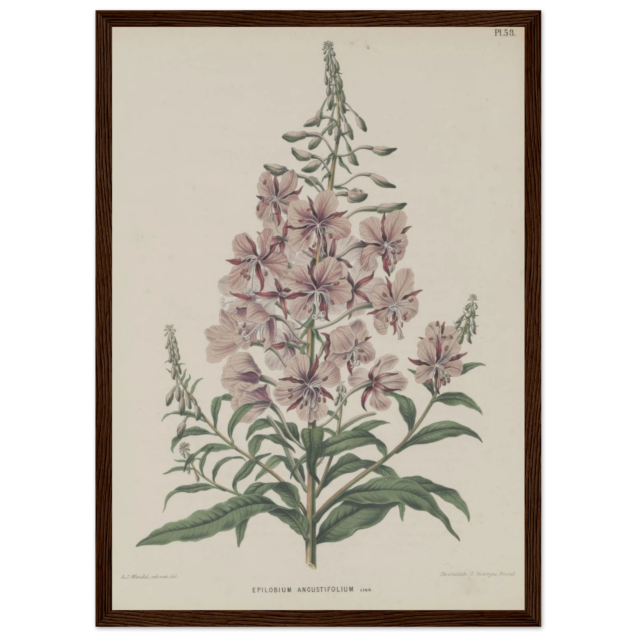 6d668de7-3c4a-44a1-8be8-51ecec0db28e