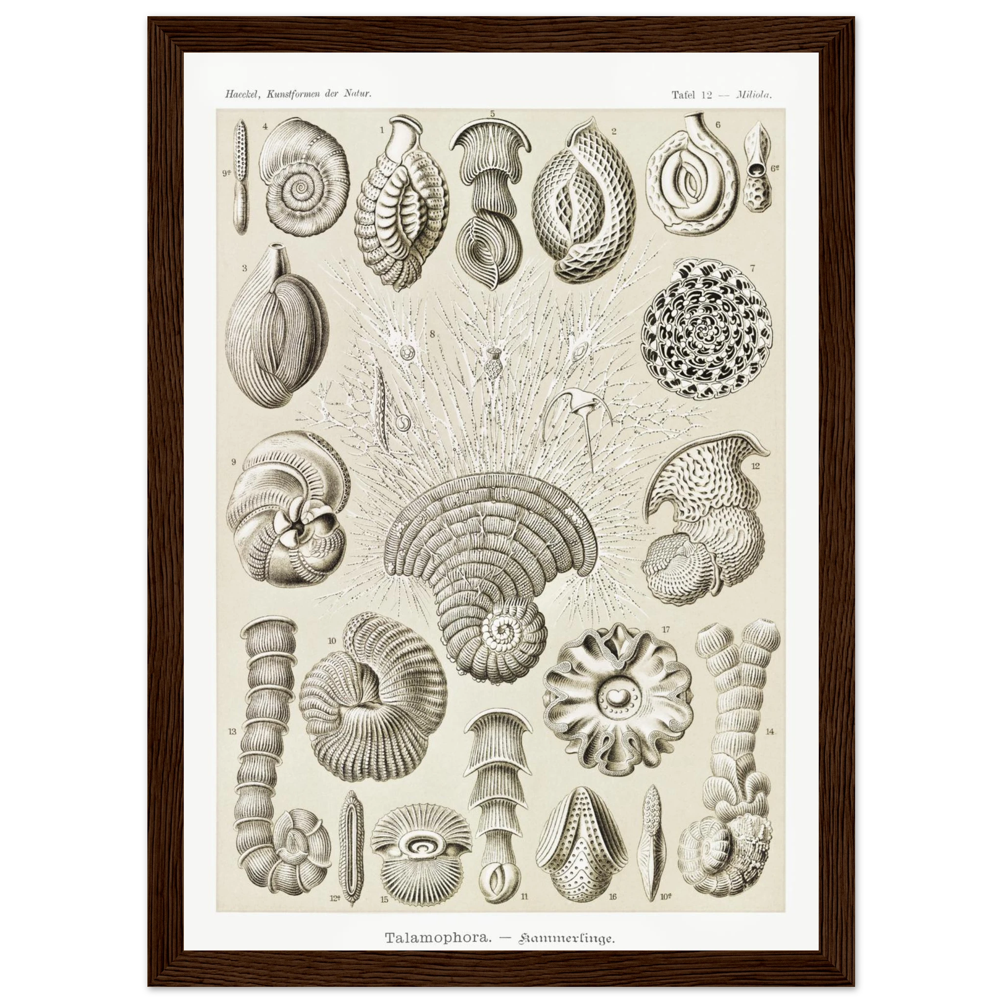 6d8e238c-b75c-460f-a7b2-355236ffbe11