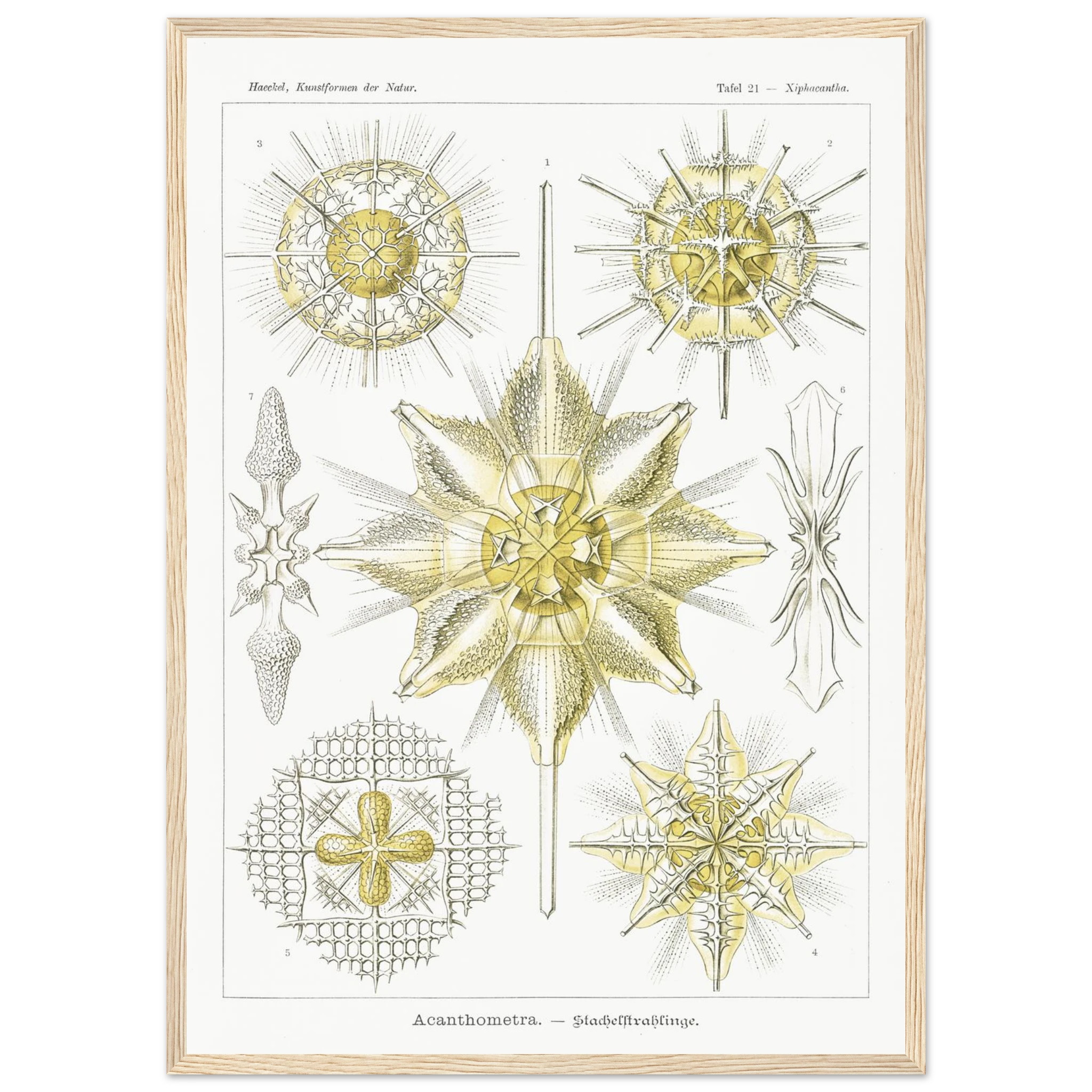 6dca8e35-c1bf-45c7-81e6-6c5e88dcaf9a