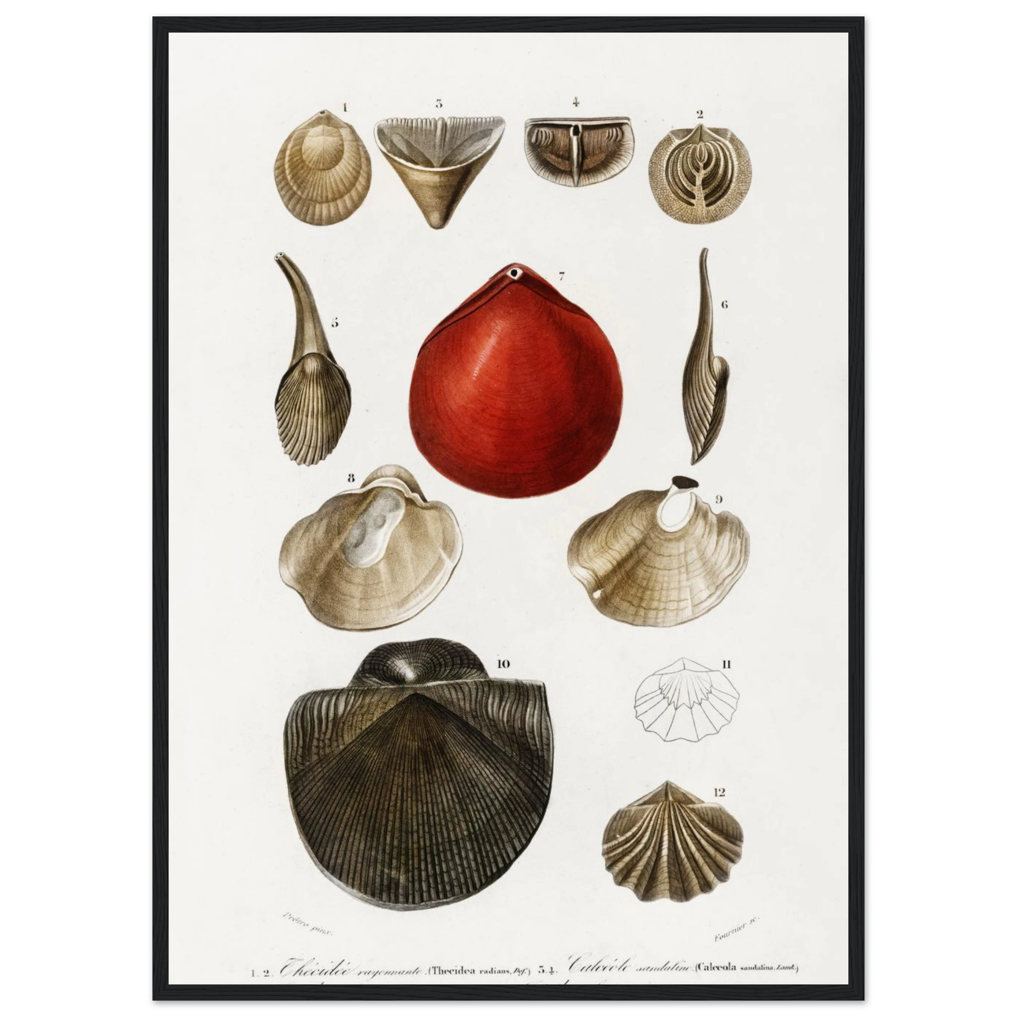 6dd1db90-cfcc-46e6-a6e4-8ddd73572bae