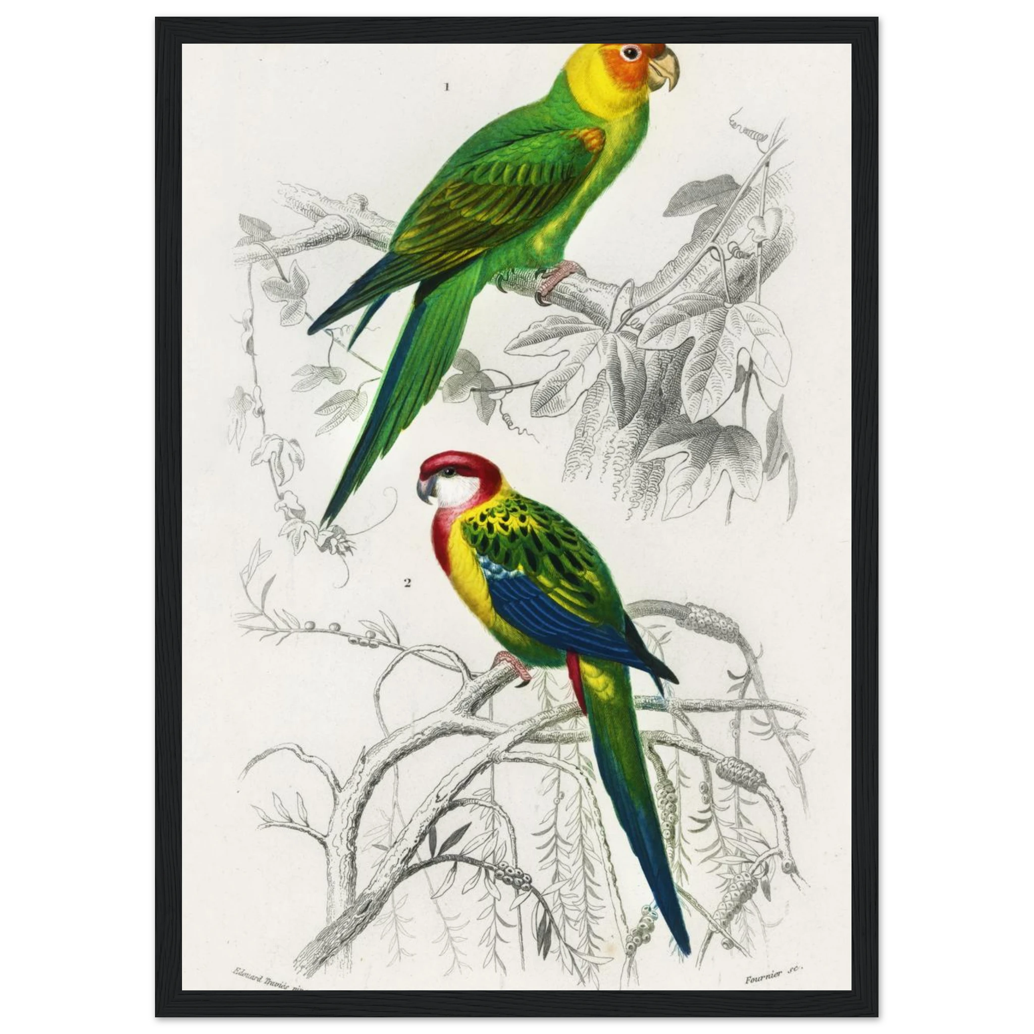 6dd71b30-ce1d-46ca-a269-12697e6a3de7