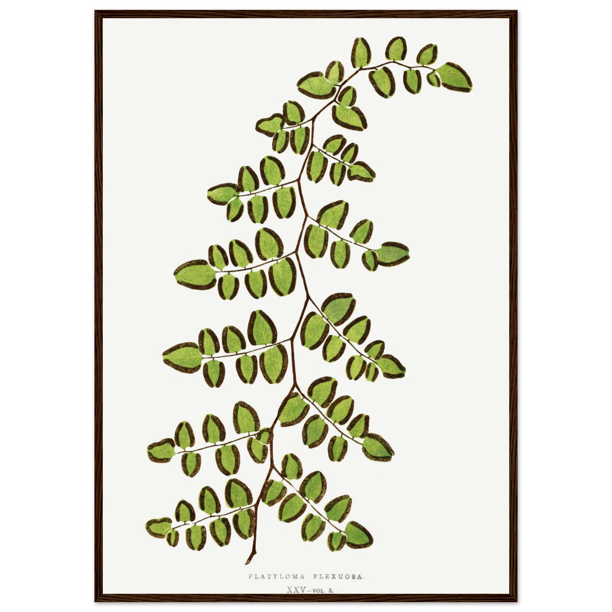 6e067aa8-941b-42c0-9d20-86a42fd203f6