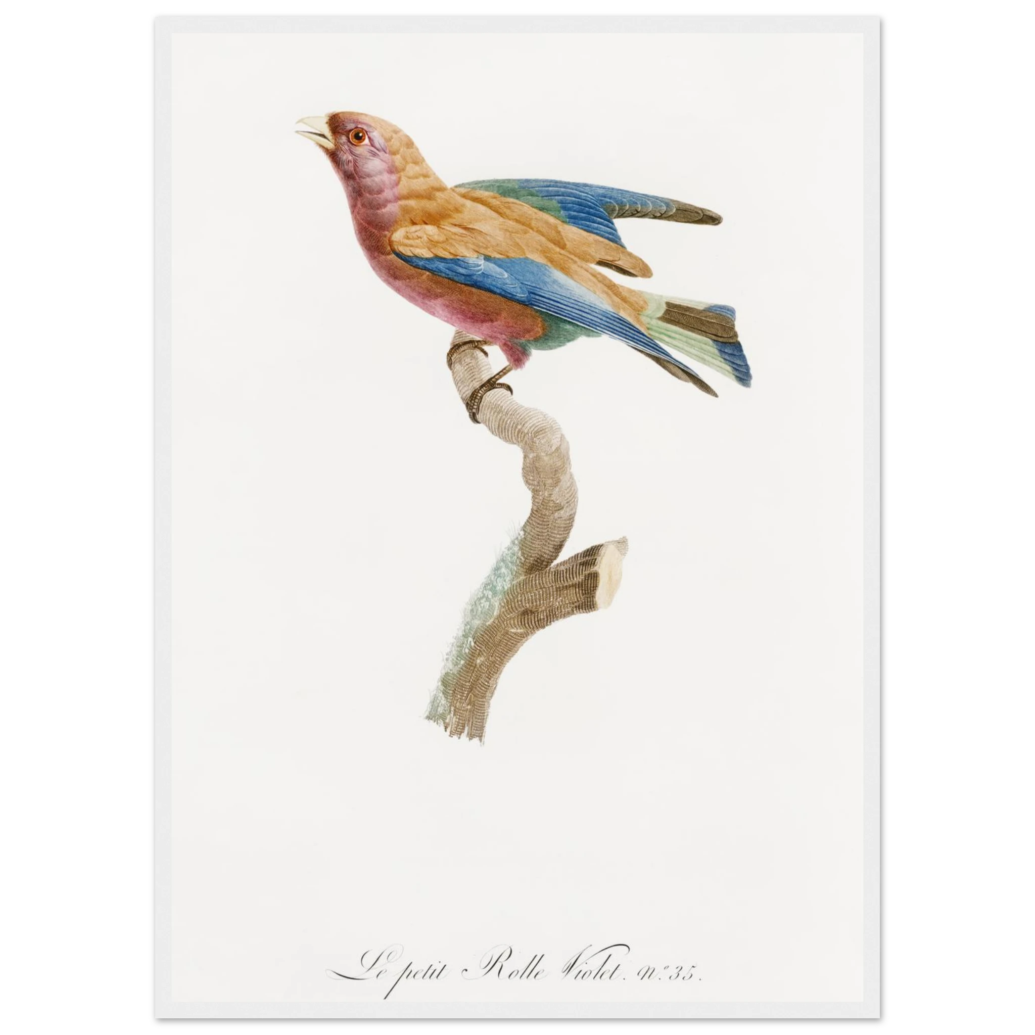 6e13bb06-863d-48d7-910c-4fd5bb2016cb