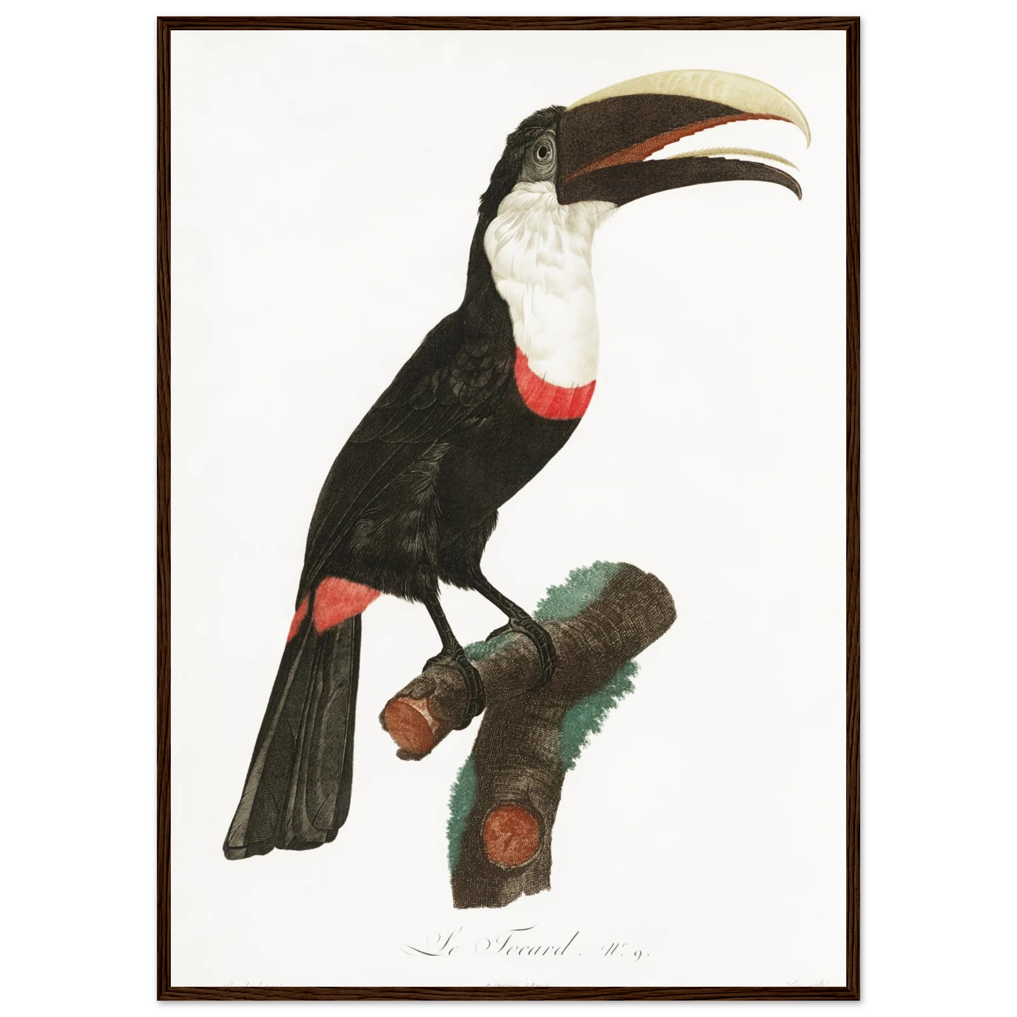 6e5e7bbc-1a59-4d5c-982a-3a5bdce7b032