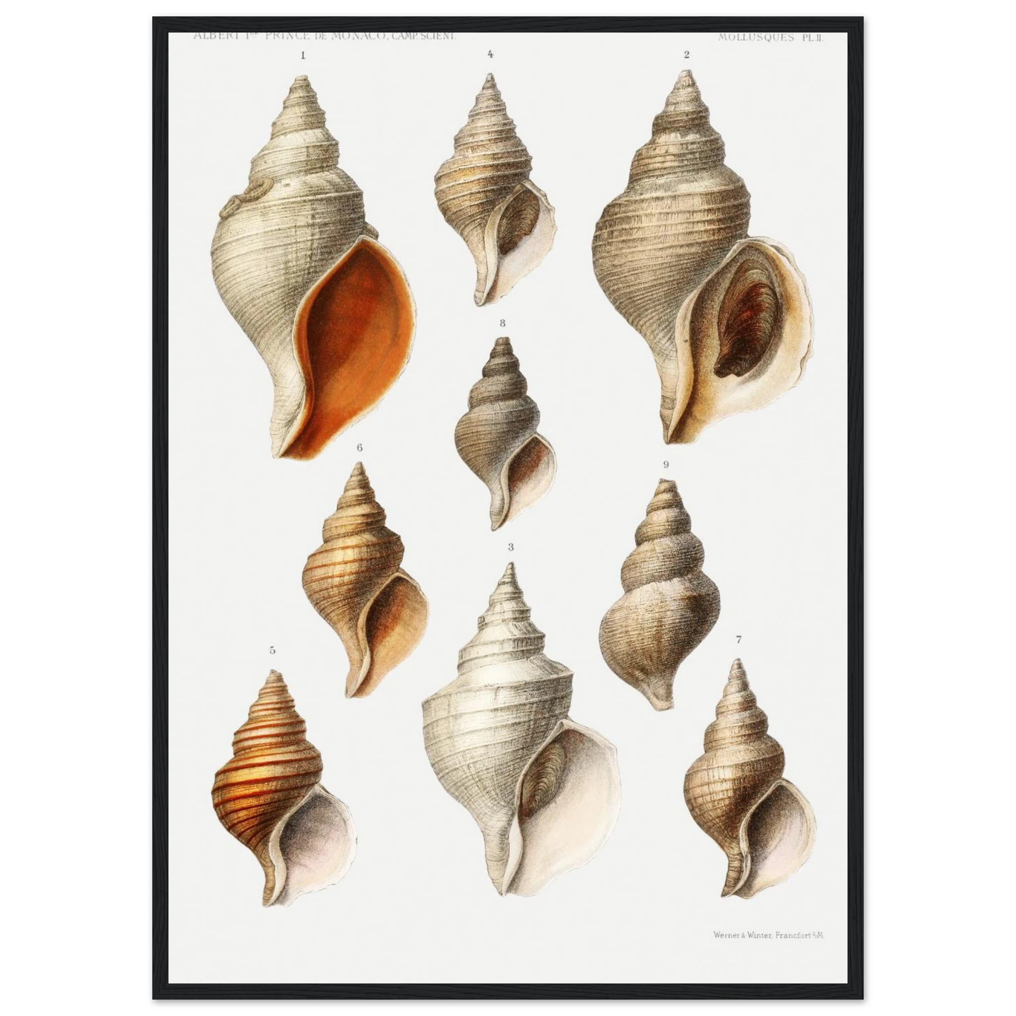 6ebdddd5-685e-4c78-b7cf-38abf09cdedc