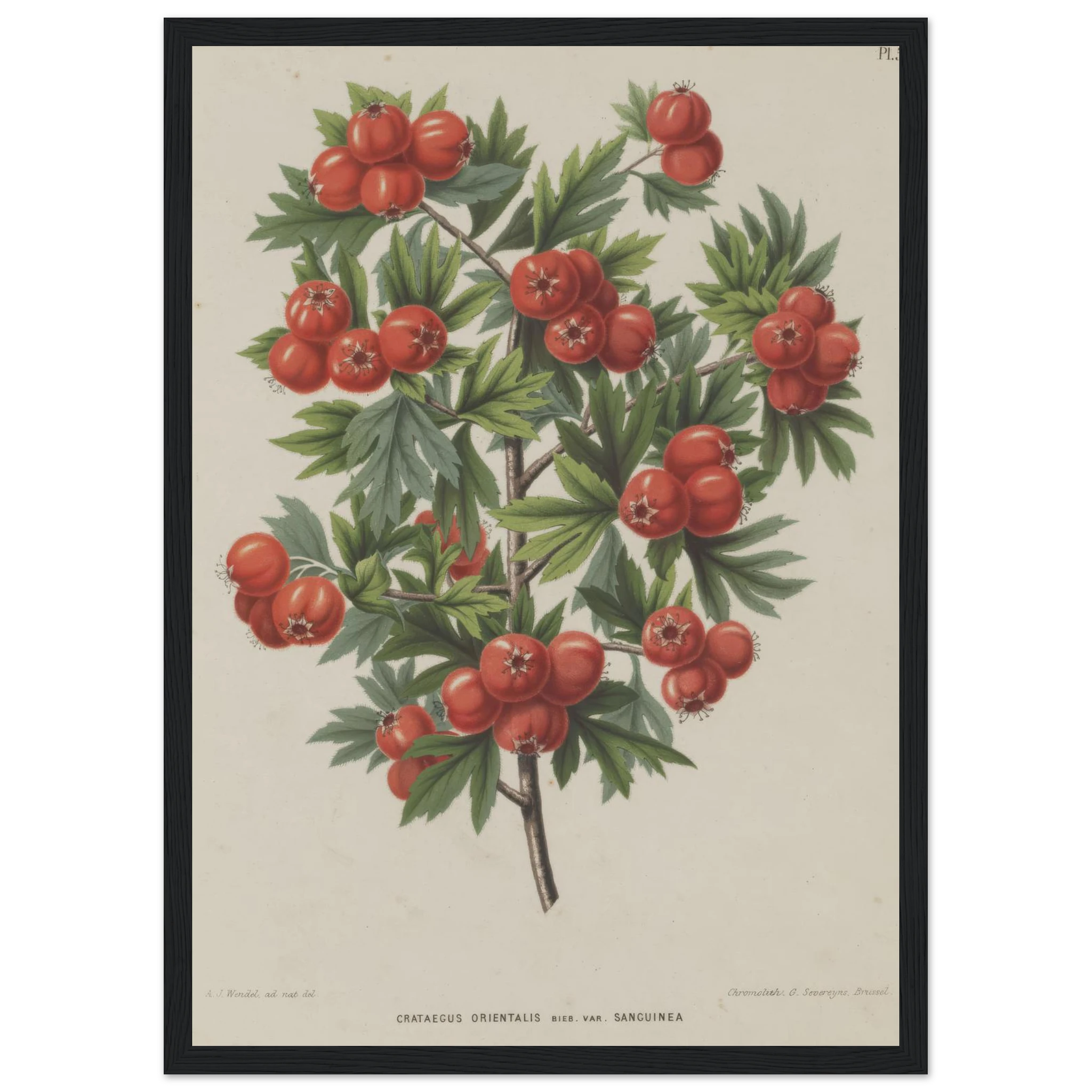 6efc4f24-f44e-4fe7-810b-9f11452b7406