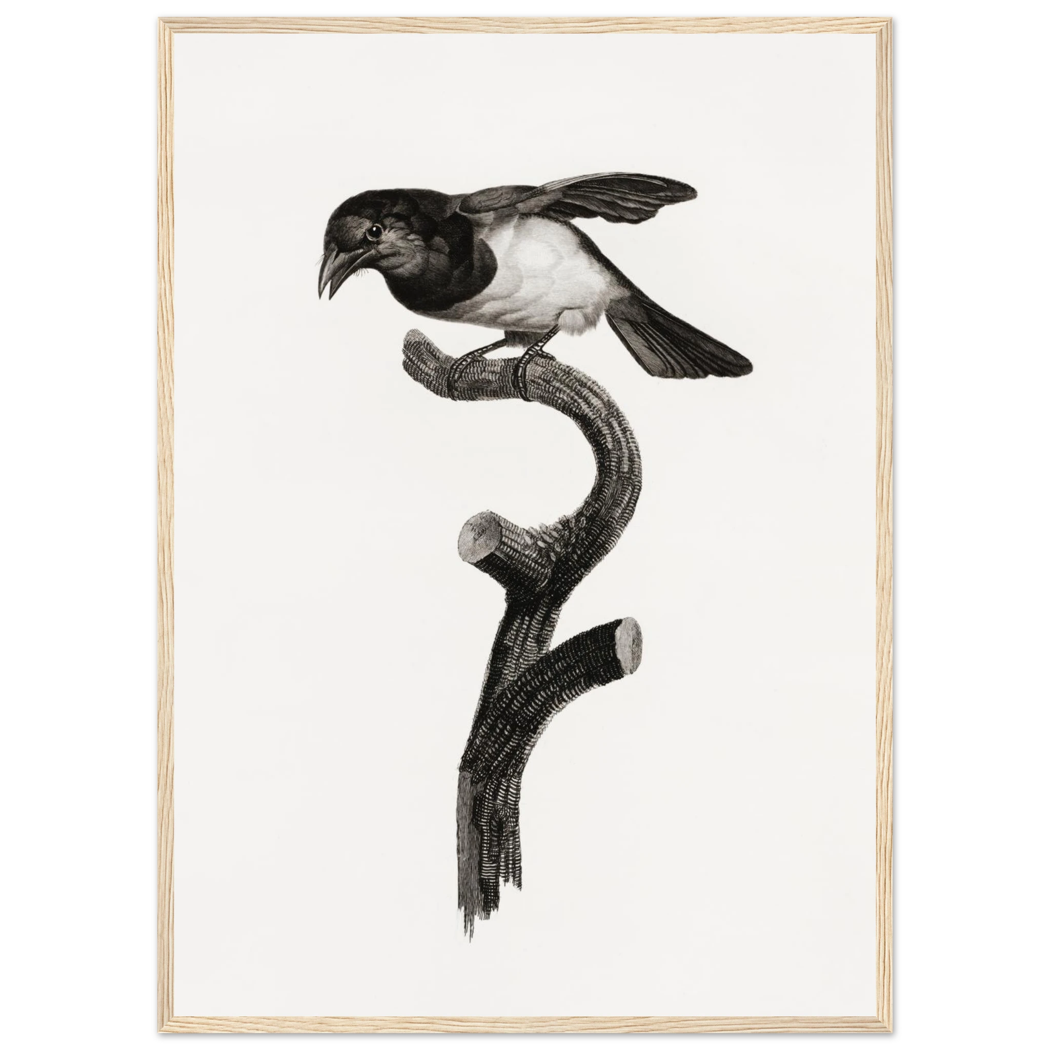 6f3e19b4-9eaa-4113-aaf1-a7e6ff83ff57