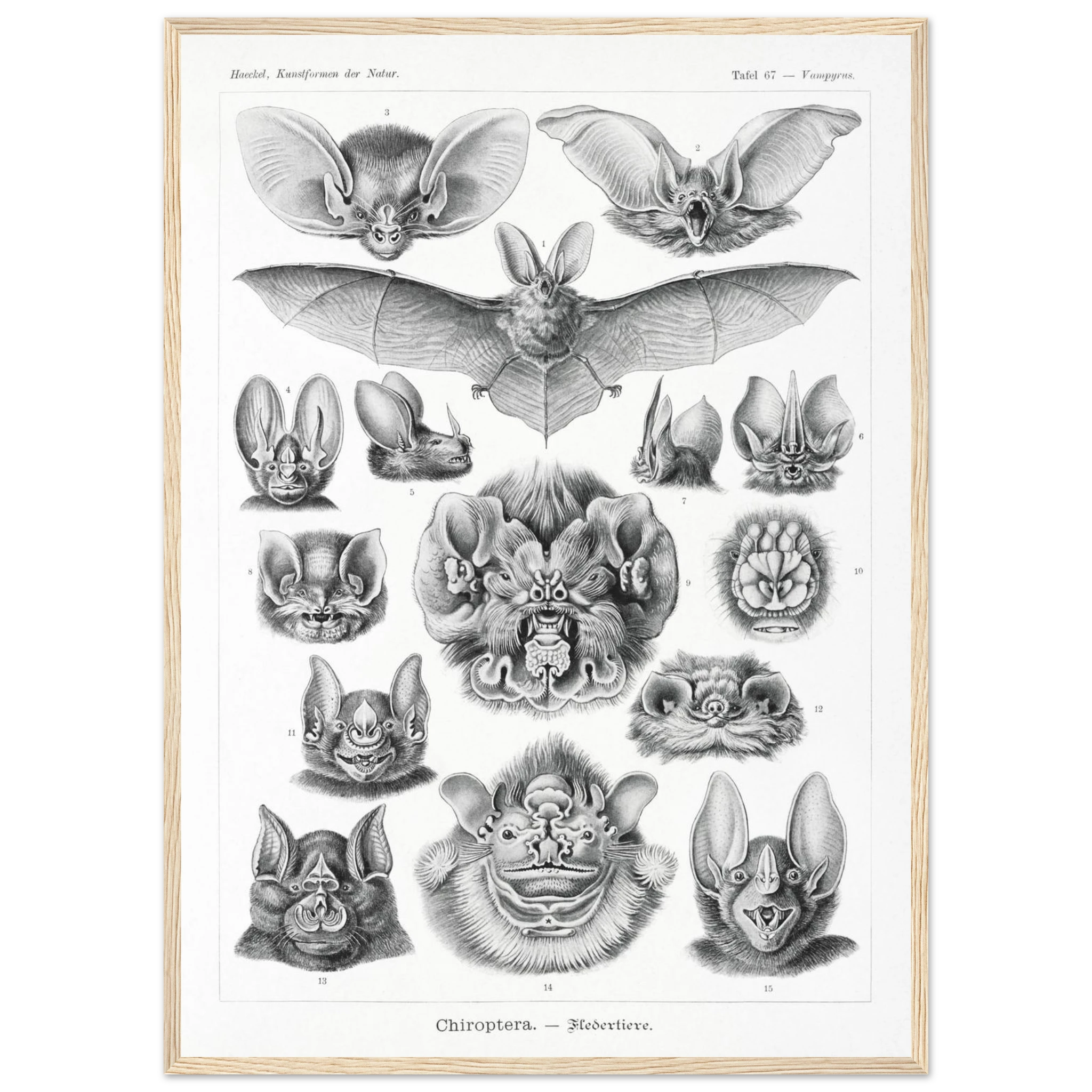 6f474ae4-d16a-405e-ab61-639f6cf005e0