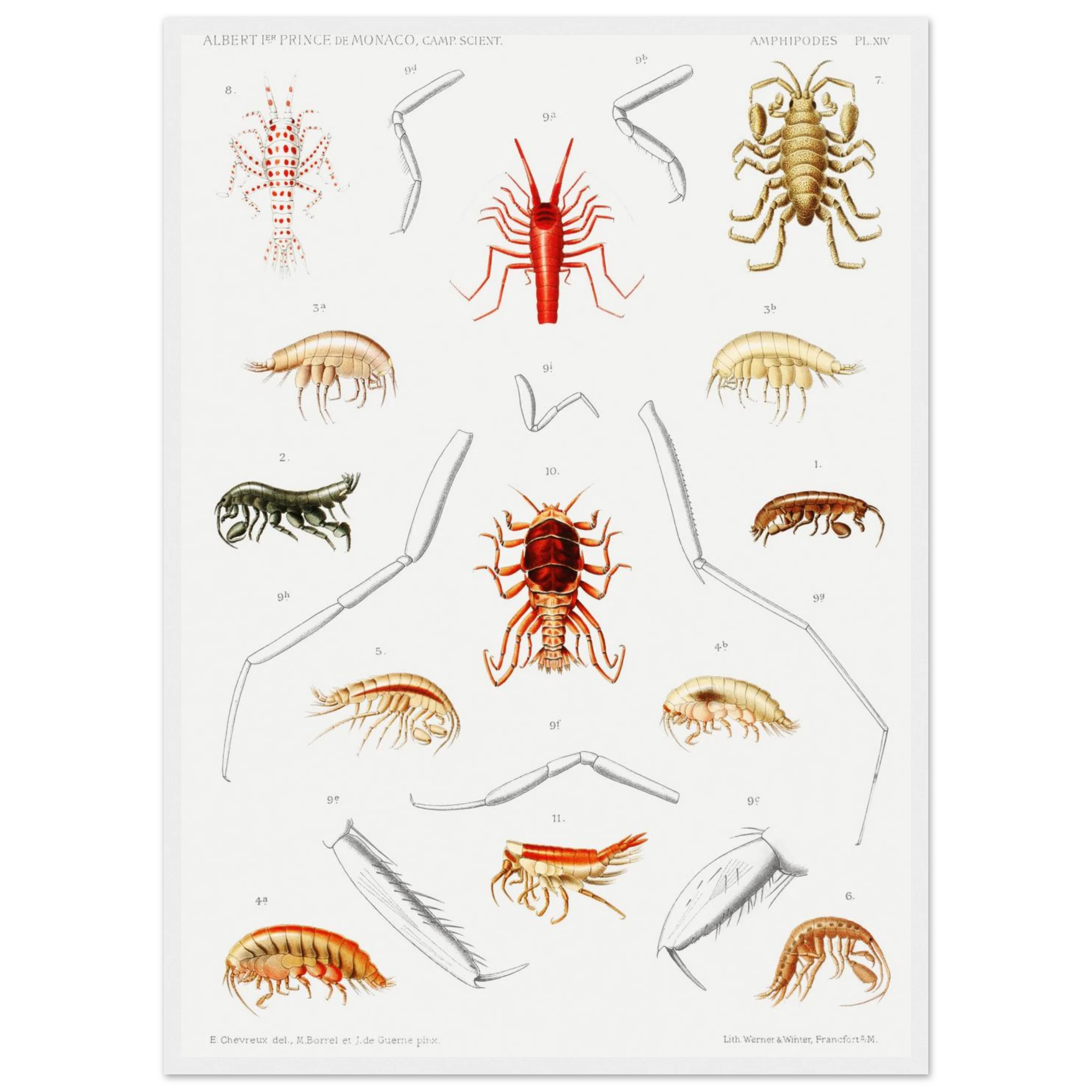 6f5c8d4e-1b75-43c5-9d96-397da027093c