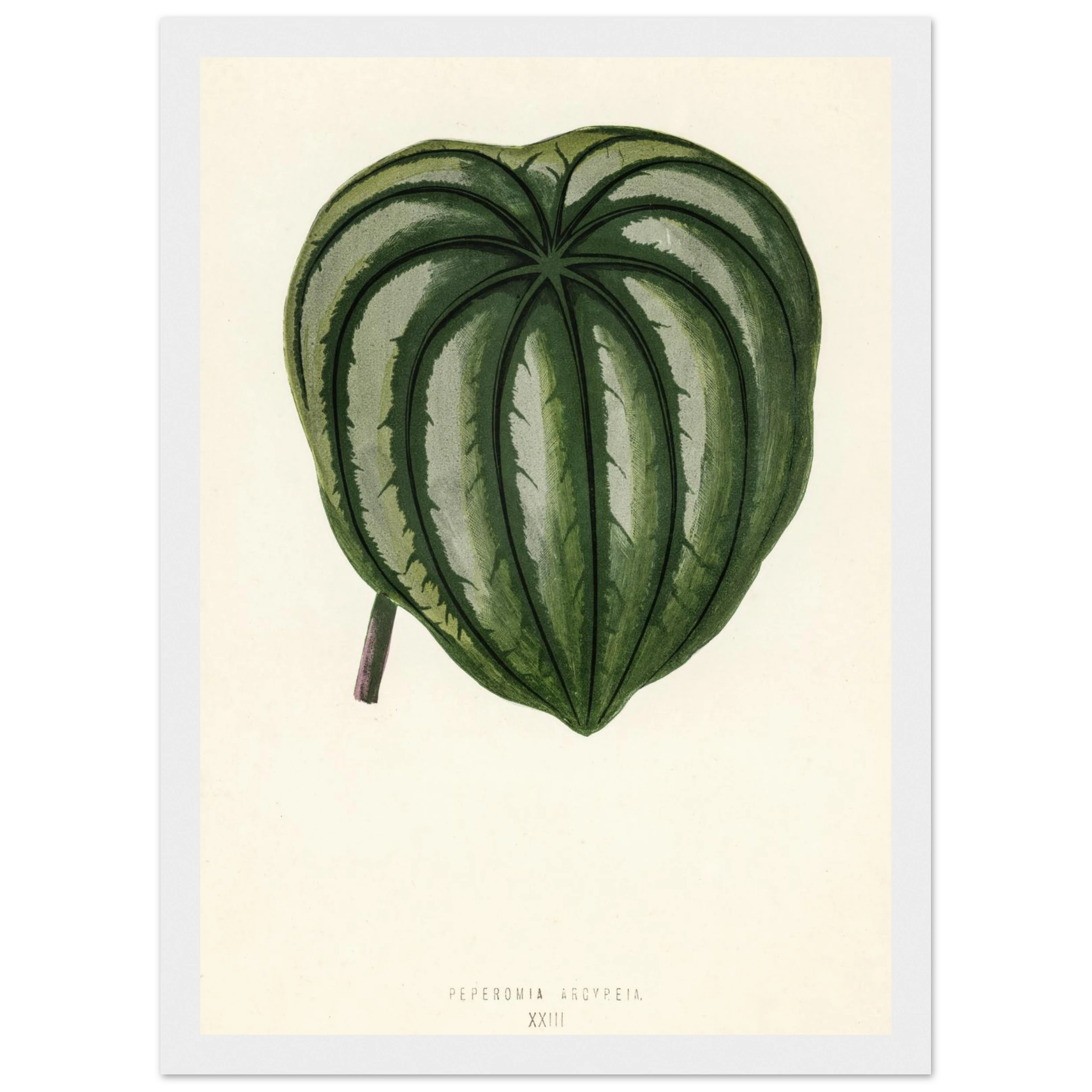 6f736471-d20a-44ed-becb-8d53d47a82b5