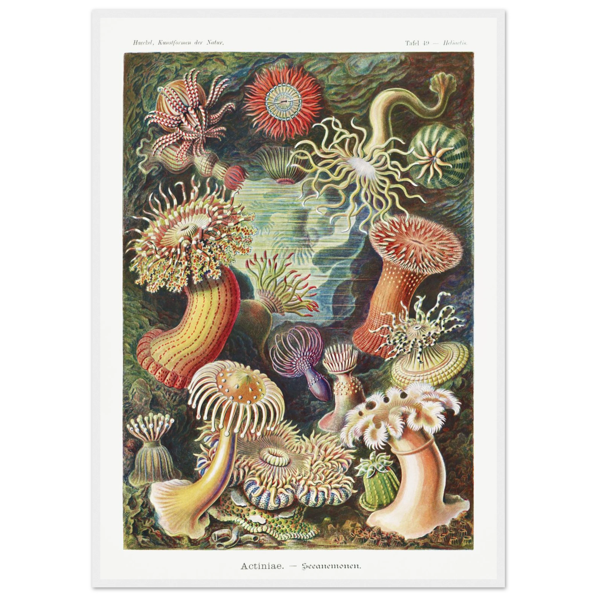 6f91ea57-1080-4b0c-97de-720be1b0db80