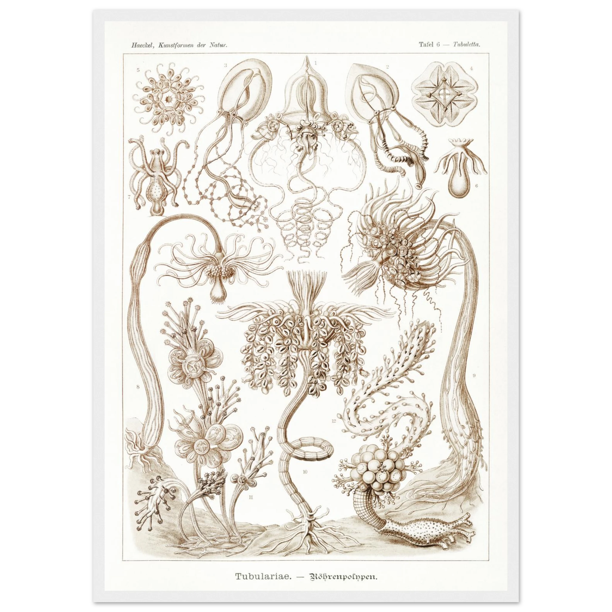 6f9489d9-f73b-44ed-82bf-371356b98ecc