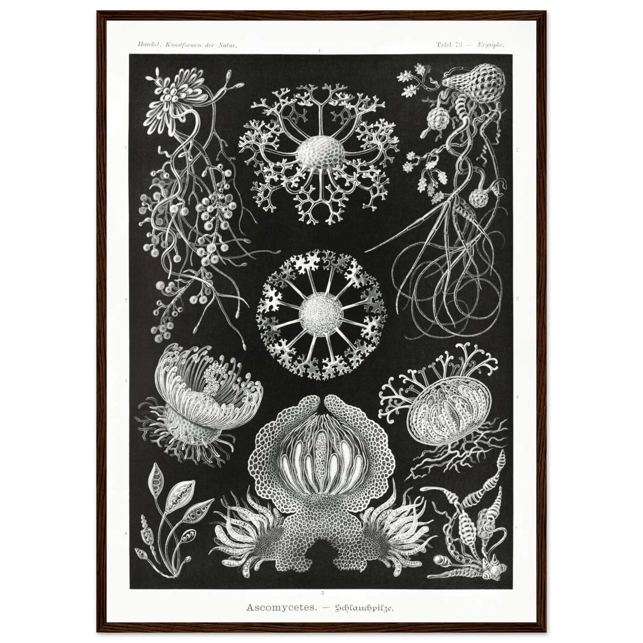 6f9b60d6-49c4-489f-8c29-c03278f61ca7