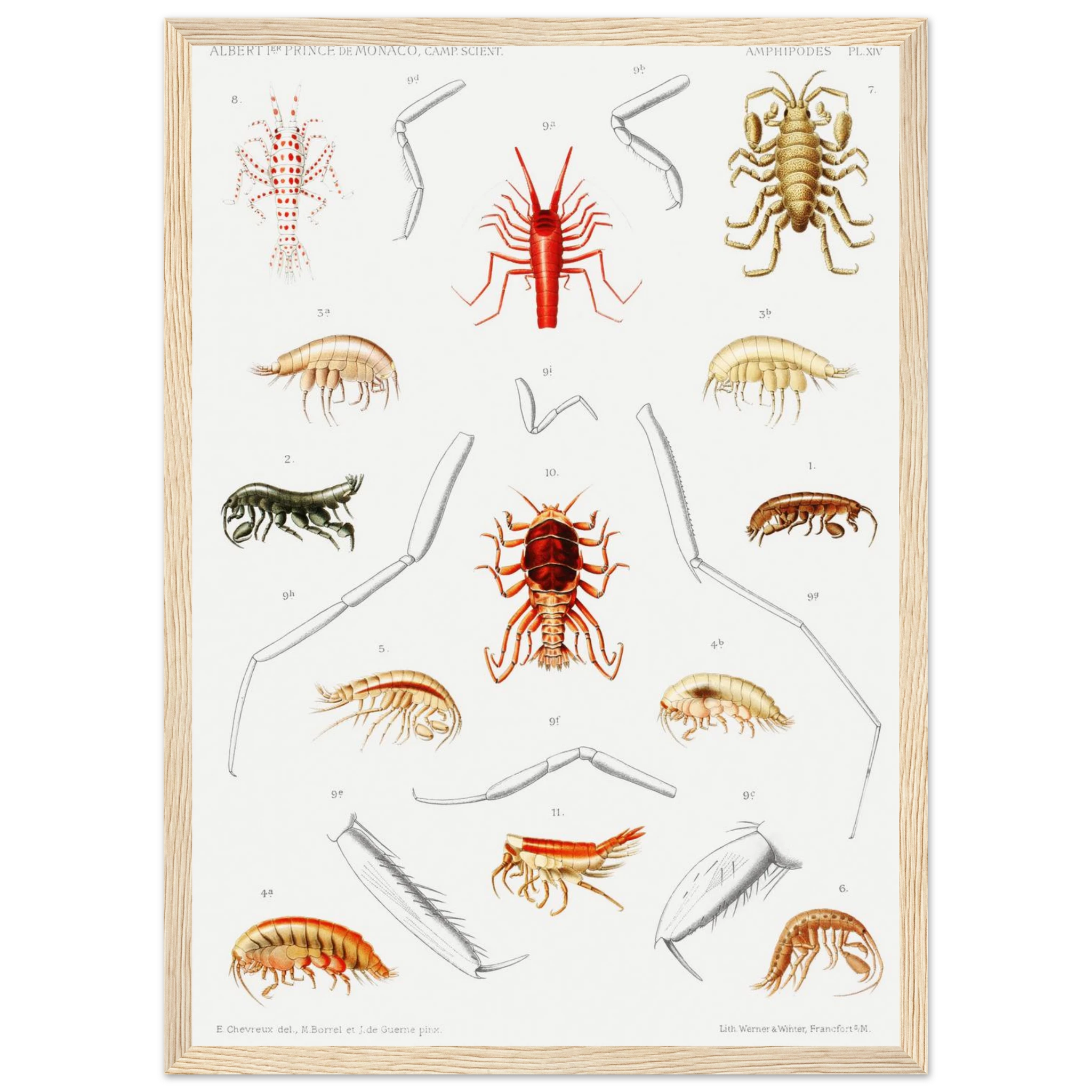 6fea0843-24f6-4faa-8da5-f35a0f4a02a0