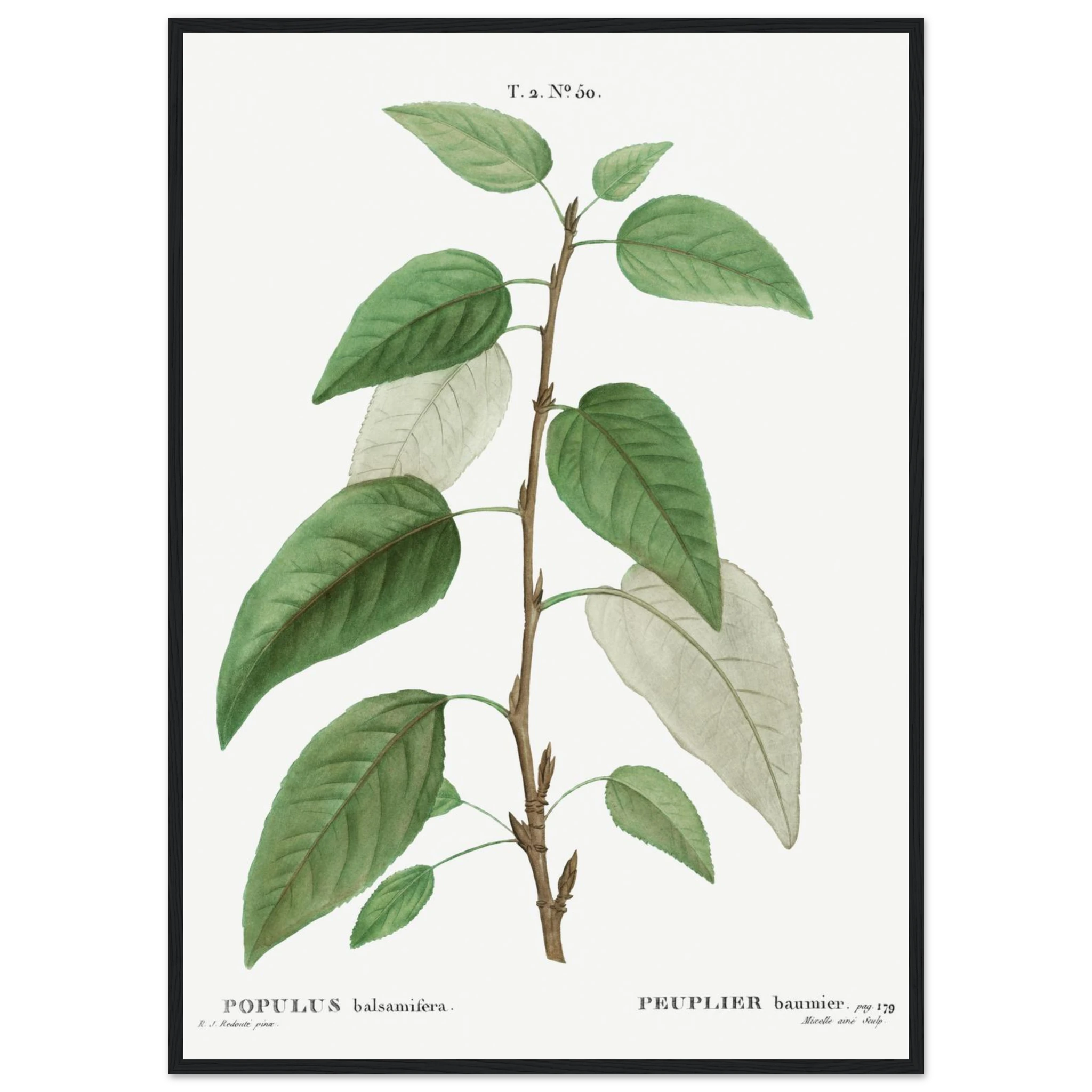 6ffaa491-ba9d-4a64-8c50-728eee17a9cc