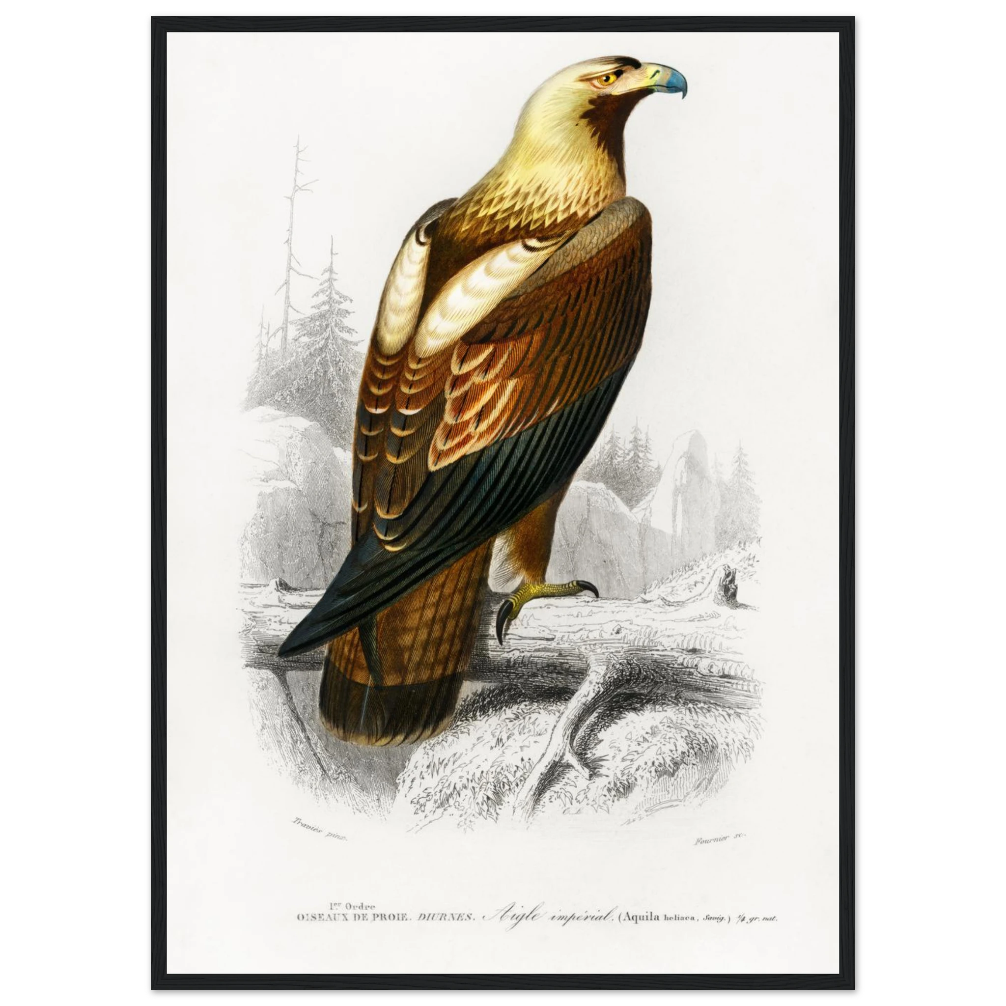 7000e182-e6ff-4658-851f-ec37648430c2