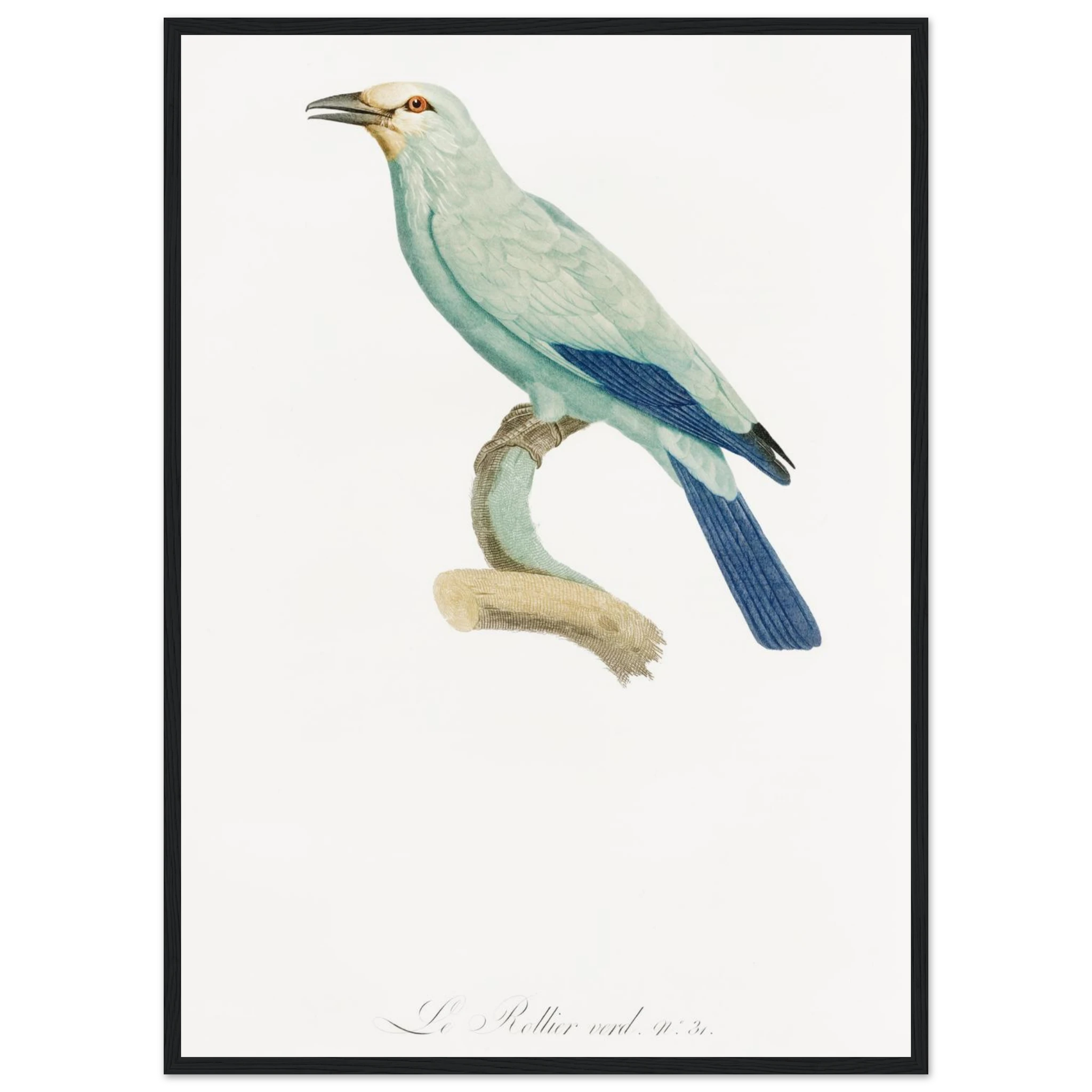 700fe0f3-fb66-4ad2-a652-e120afcac100