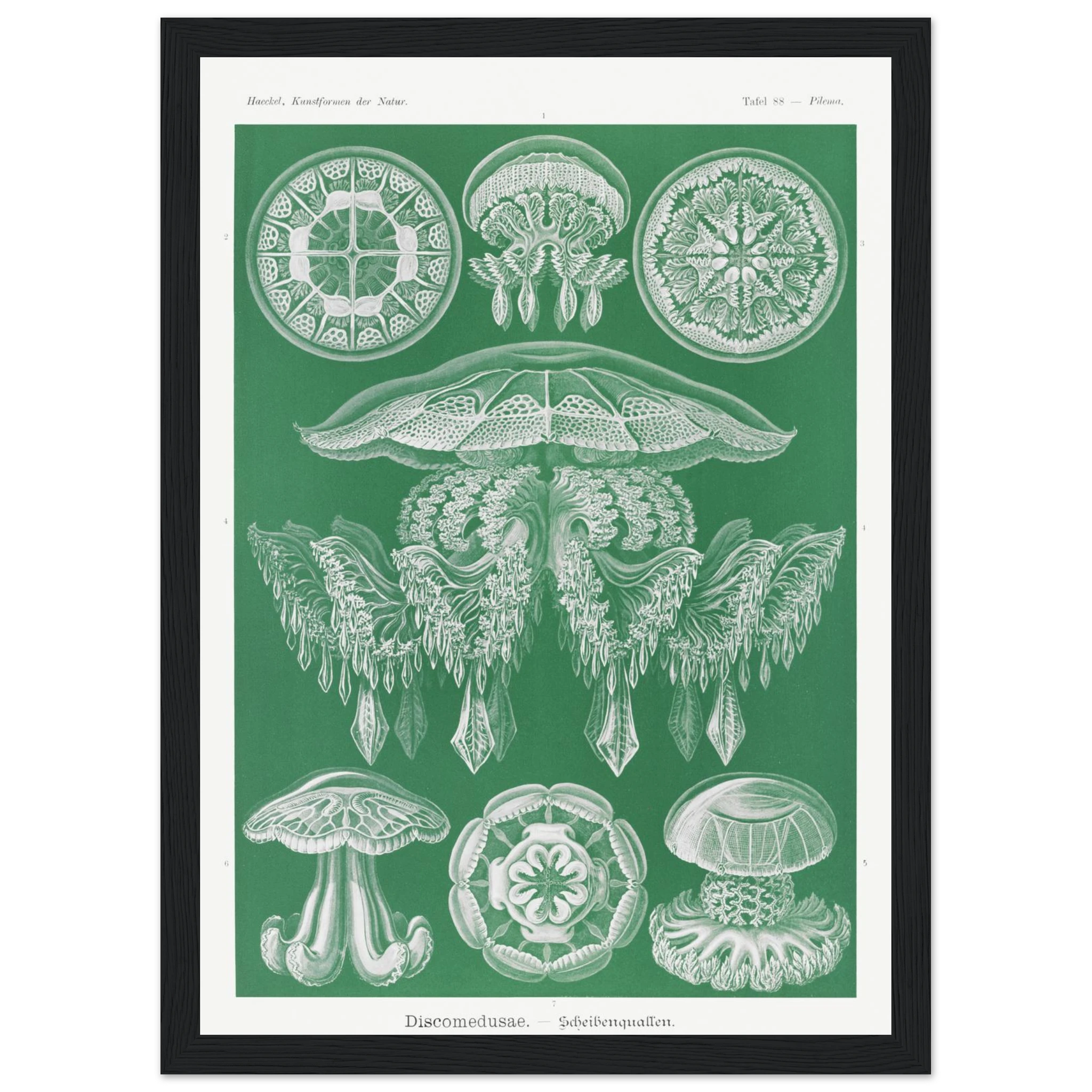 702e3176-decc-485e-bc85-bd955d29a5f1