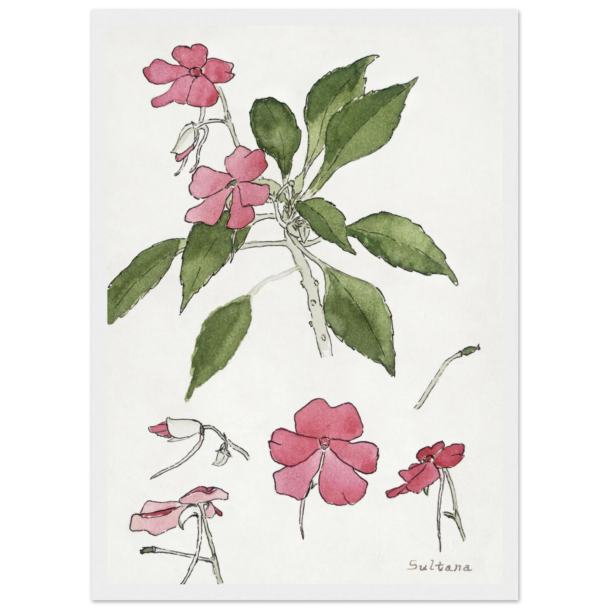 705e3799-ffa7-4b51-80b6-c954ac4f4d85