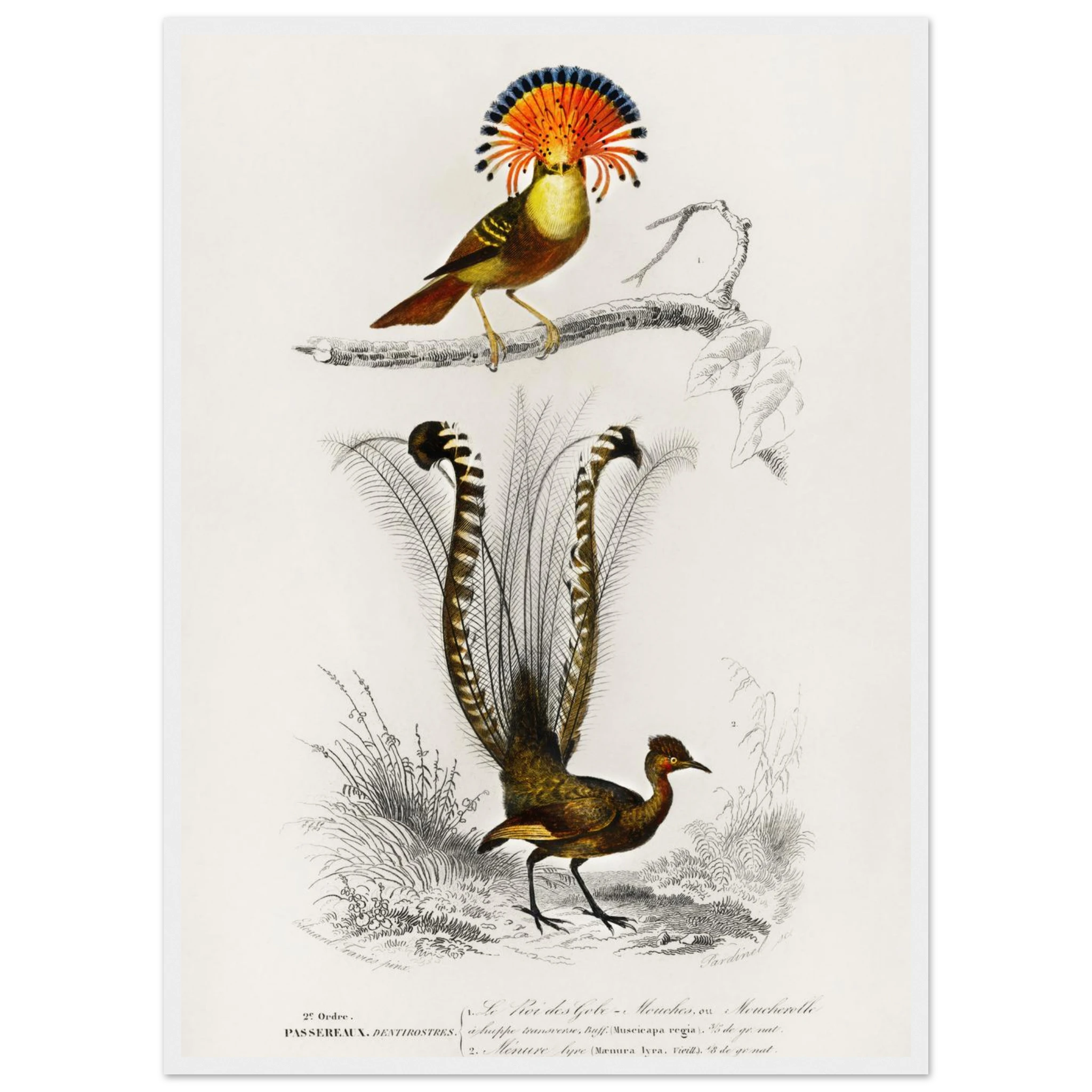 70696790-79c7-4c45-86d9-dc4ad06411f1