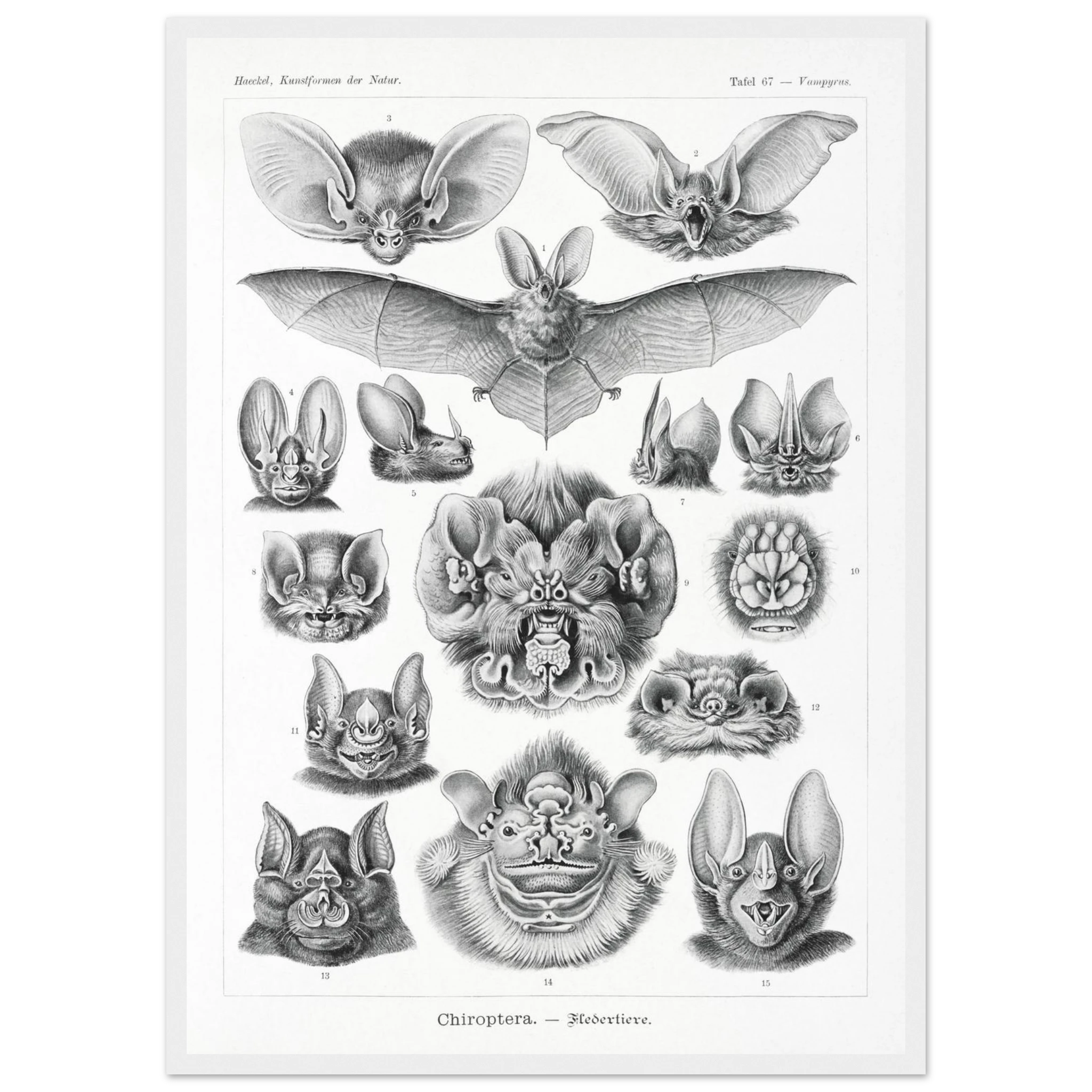 70b90999-e709-46d4-8e49-3de965b33166