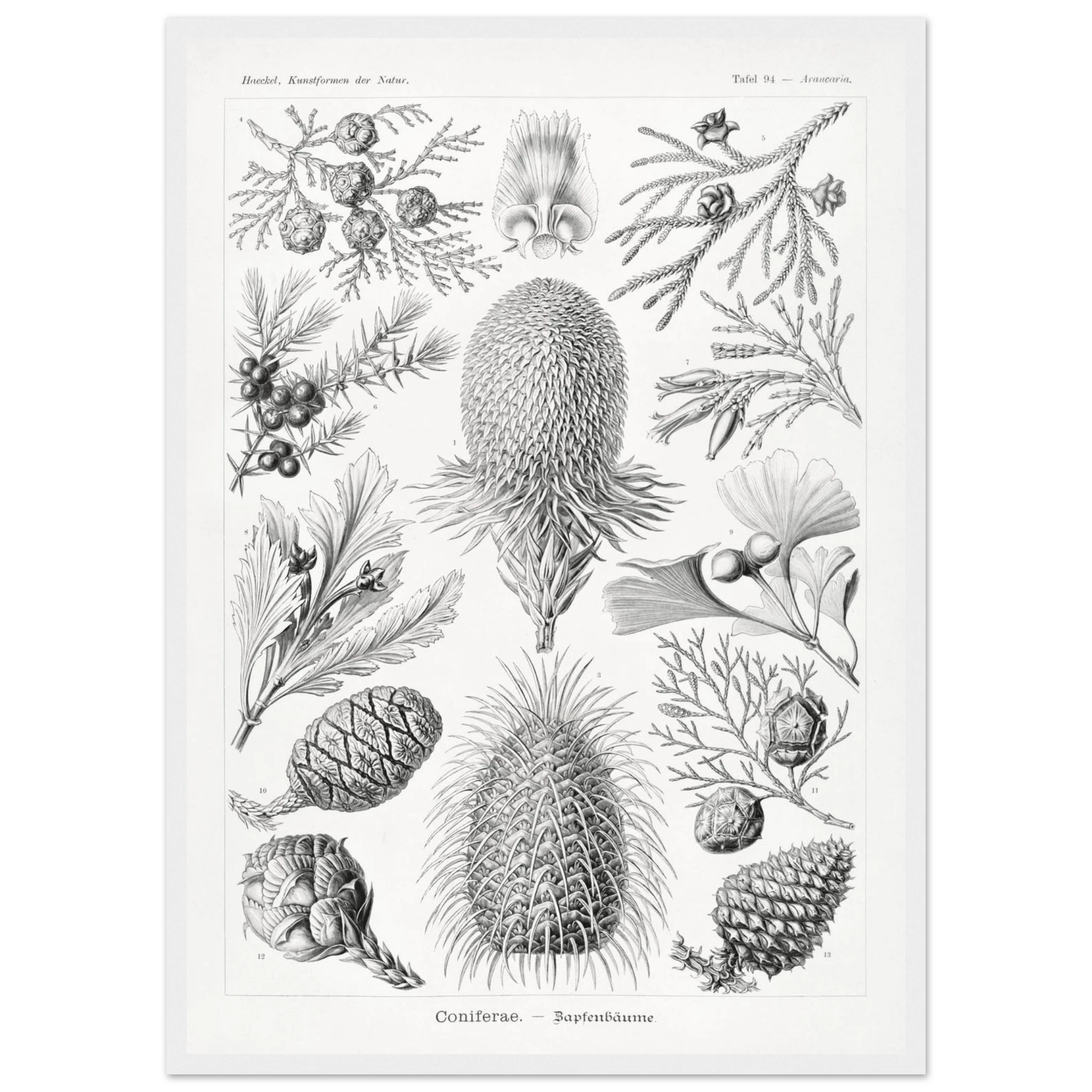 70dbdc49-925a-4aae-b703-d44b0966d046