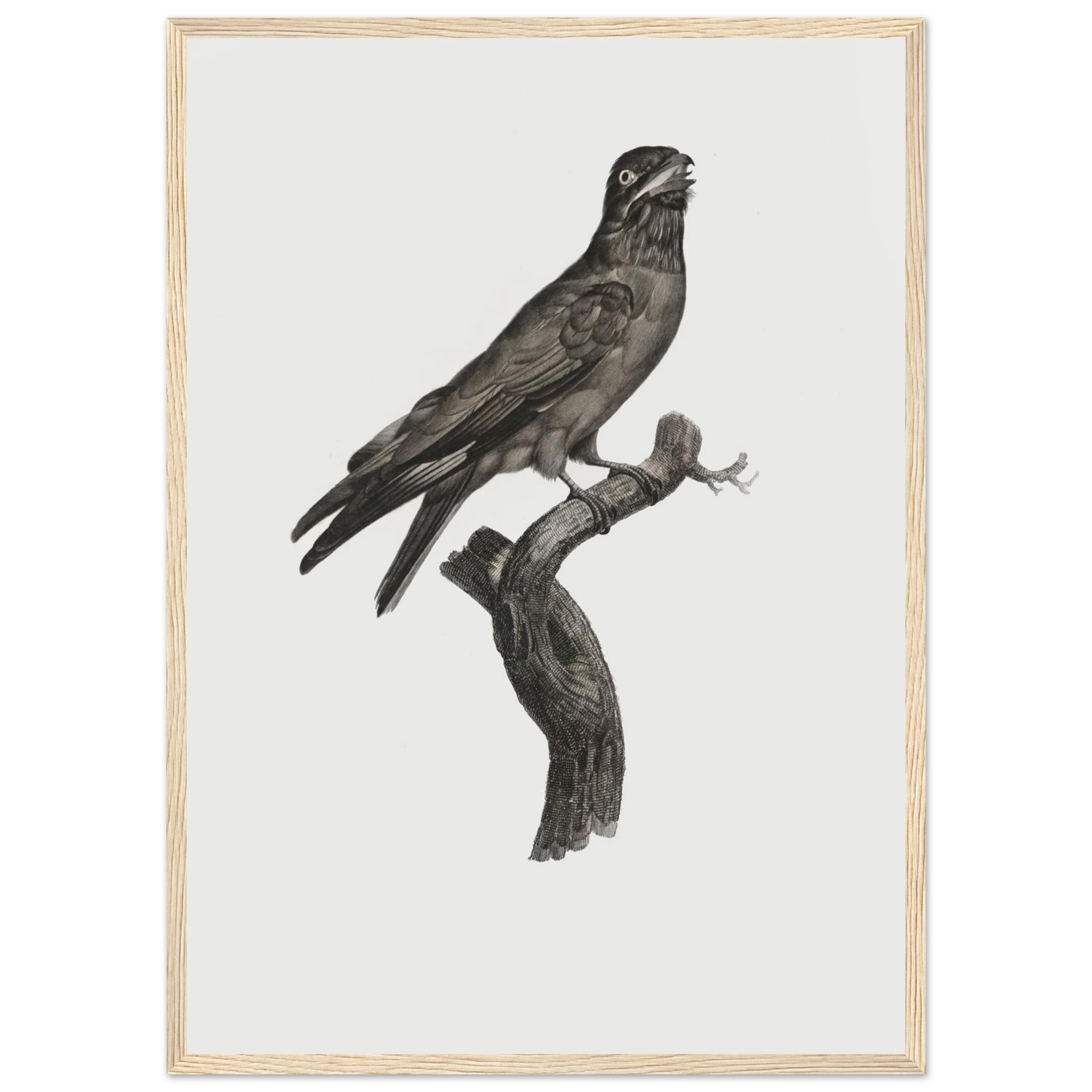 7104b313-afe5-46b7-befa-502e6054d2ee