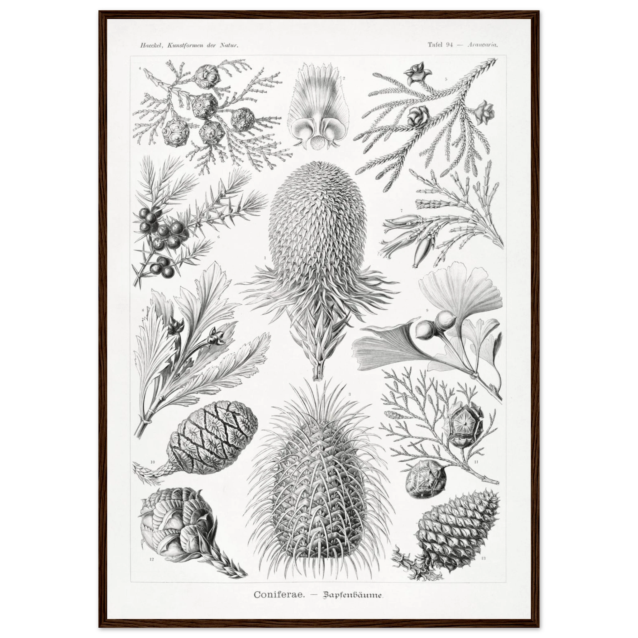 712b9cfa-434a-4df5-a78a-e344f9d52524