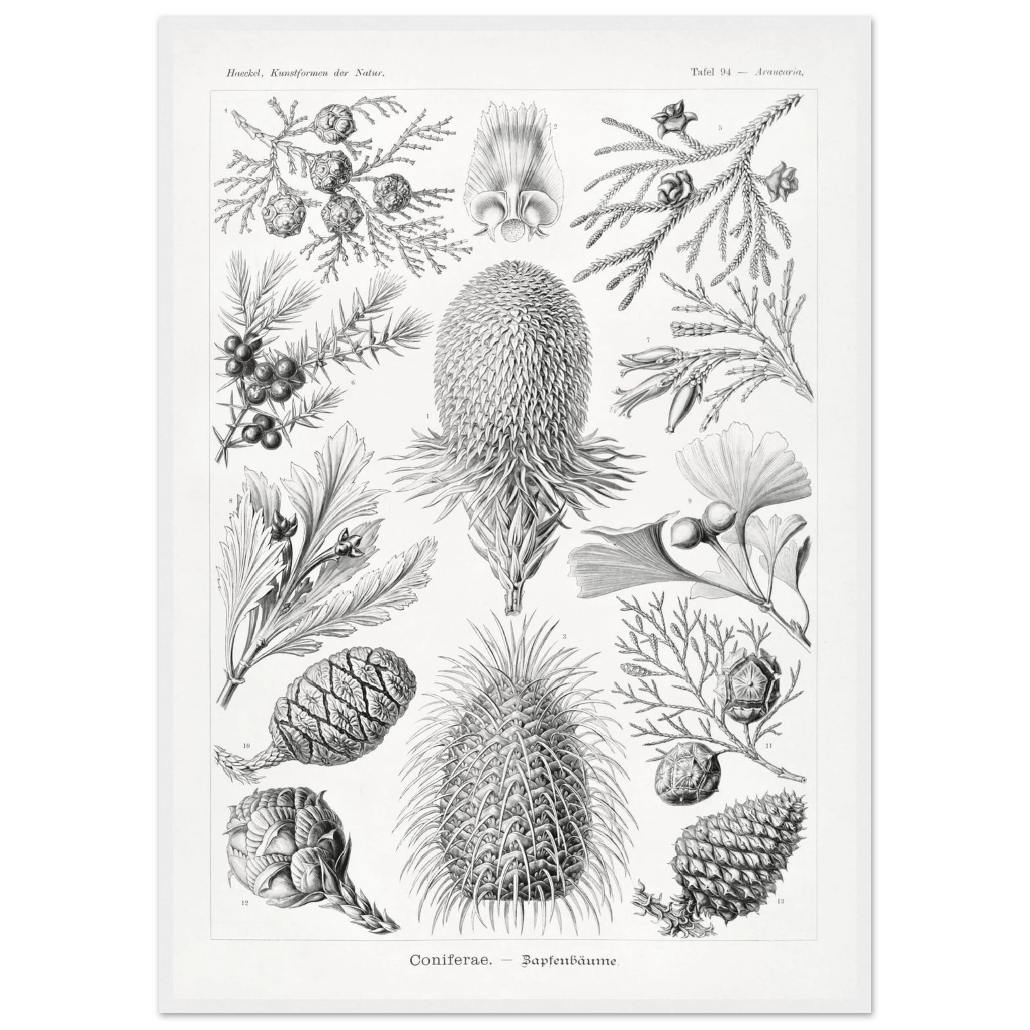 7148917d-f058-4bfb-abc3-1dcb516e846e