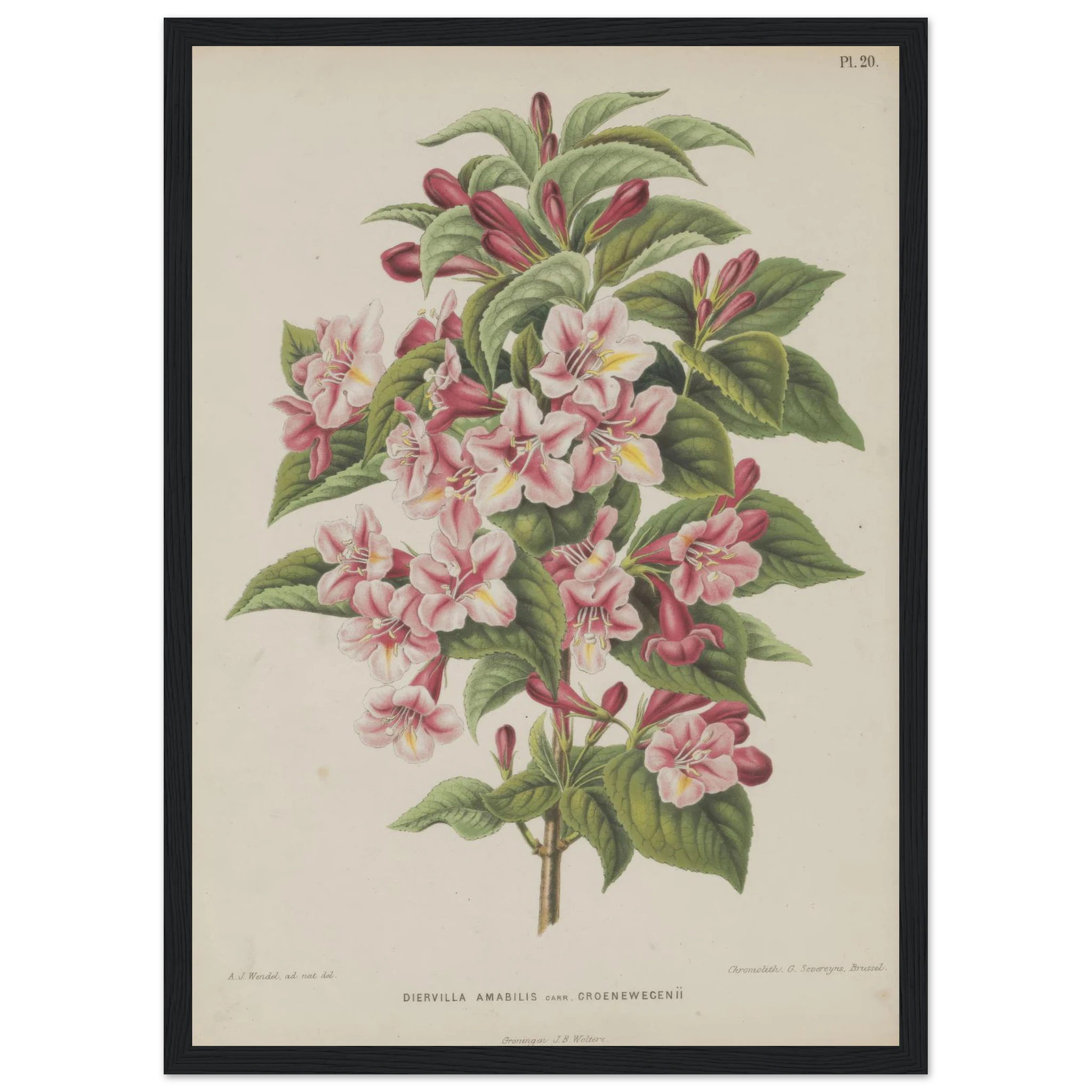 71dae337-389c-4cf4-8b8e-5e29ddd0750a