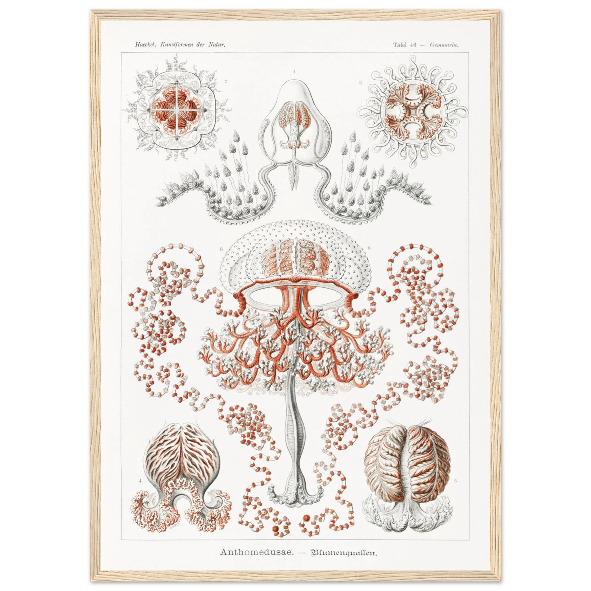 7203d74f-5eb4-4160-b60e-5774a442d2cb