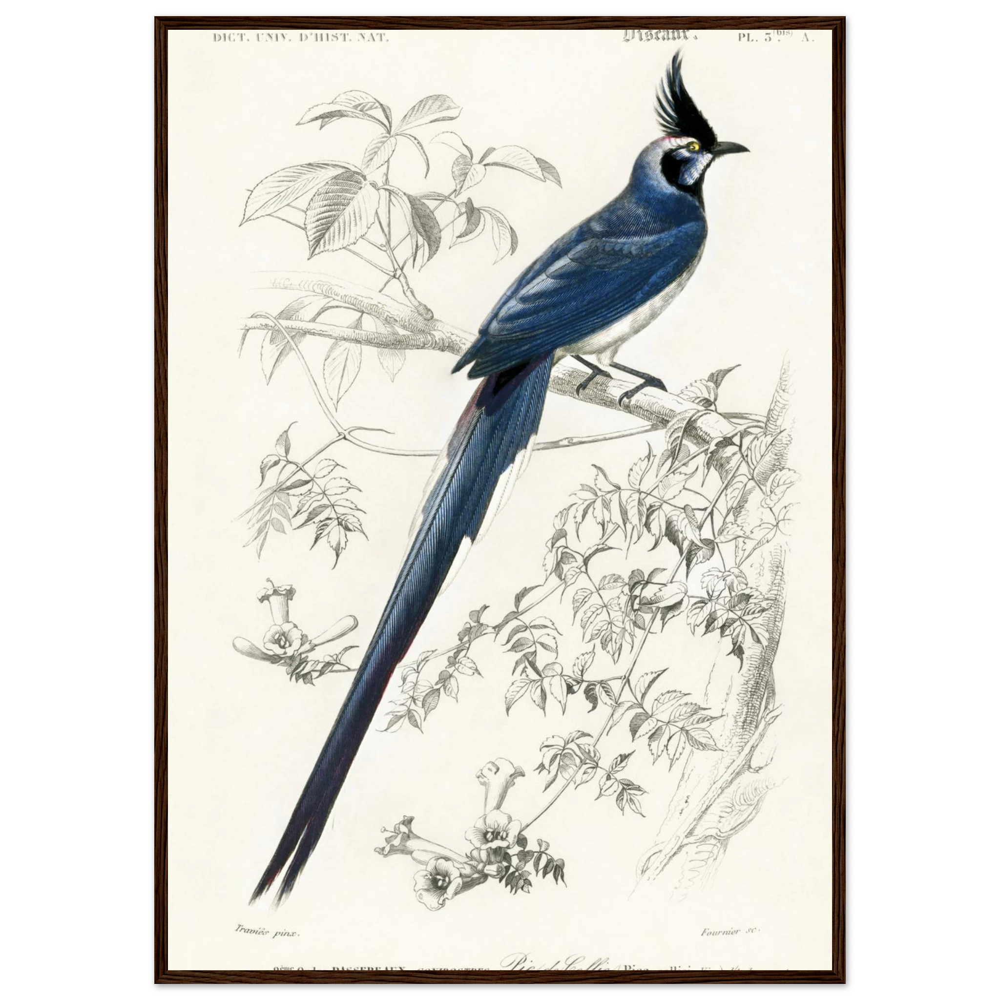 720e317c-46f7-45d4-92a1-8f1875f47eea