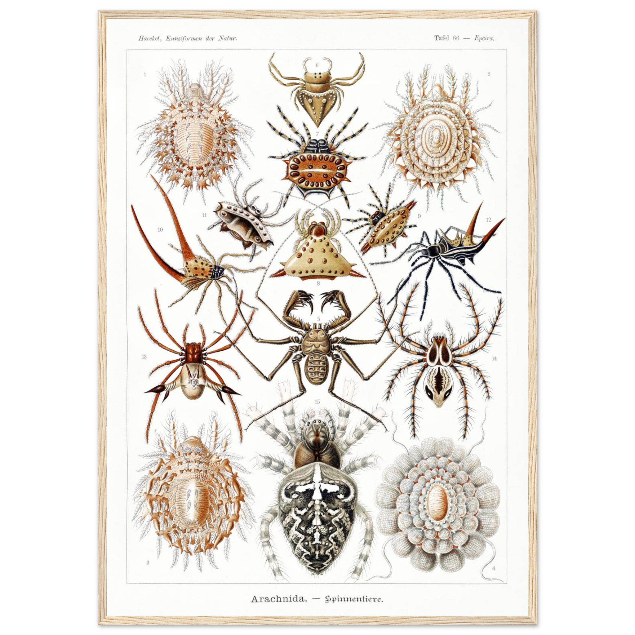 7238fd6c-580c-491f-ac2a-c6362d4162a7