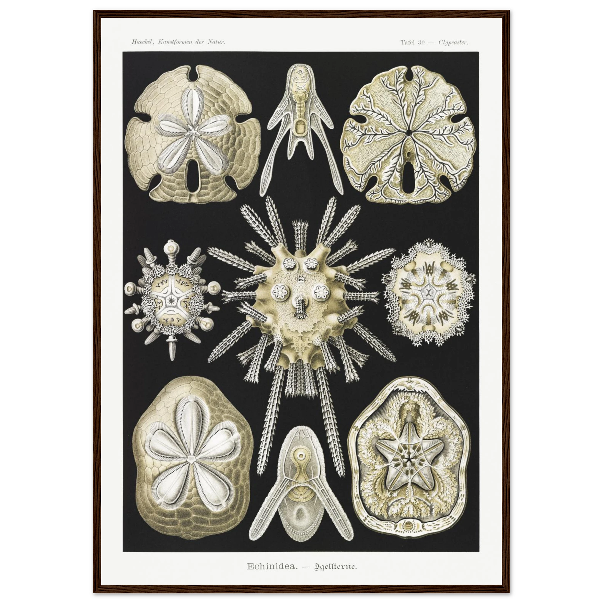 7294615c-e3be-4f70-9532-08c11bbb0fcc