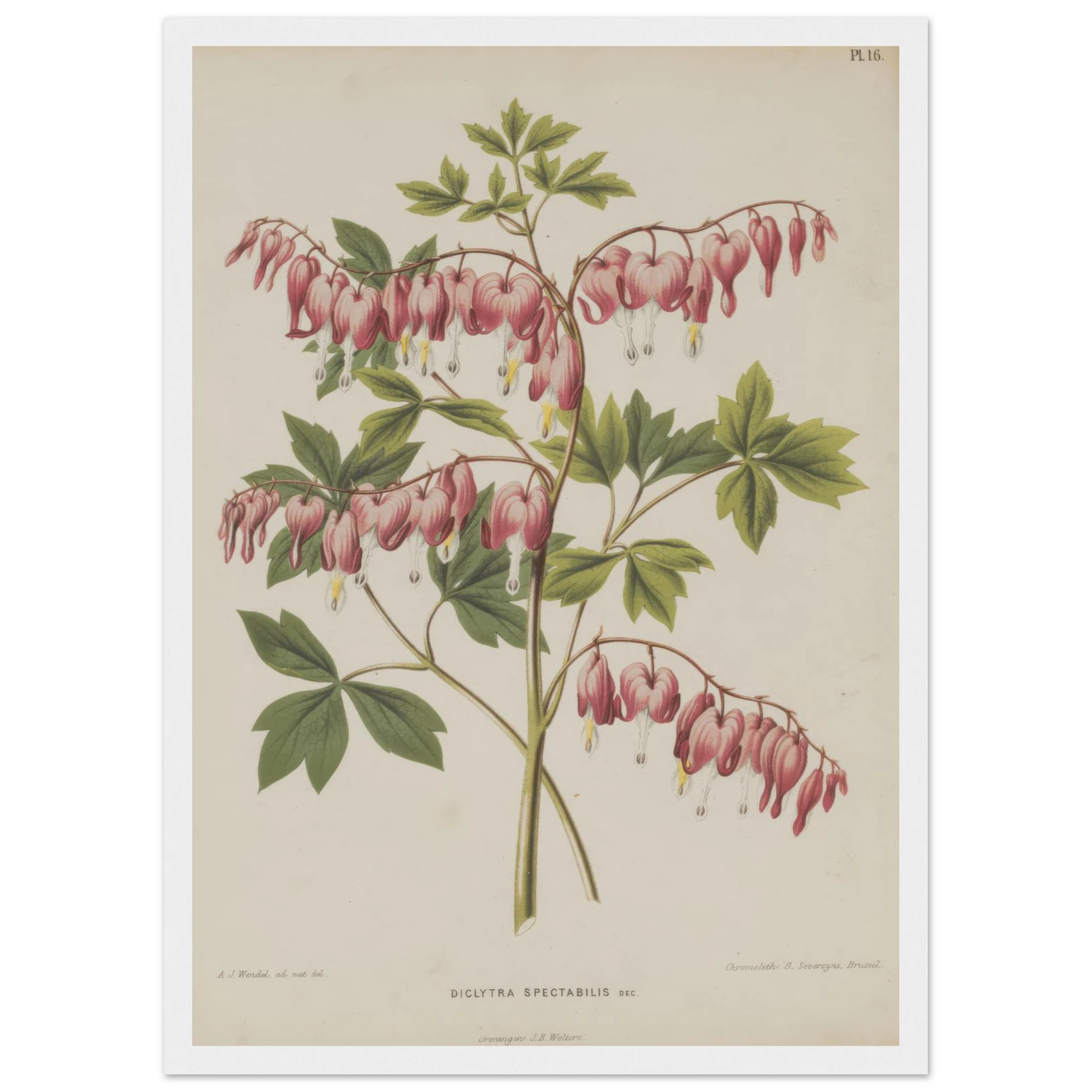 72add813-b349-4530-bad0-b1b3b6cace3d