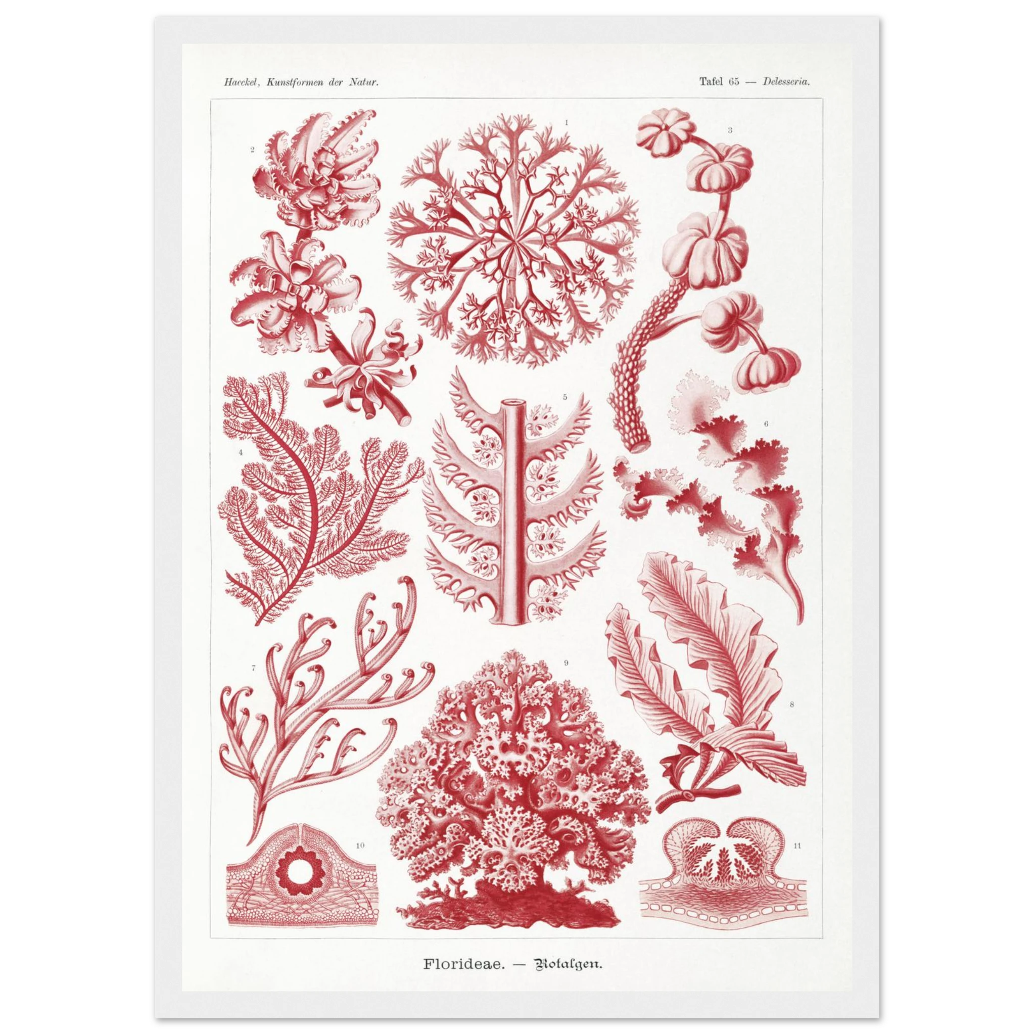 72bbf3f4-ad4d-4bf3-93d0-6c717bd21e1b