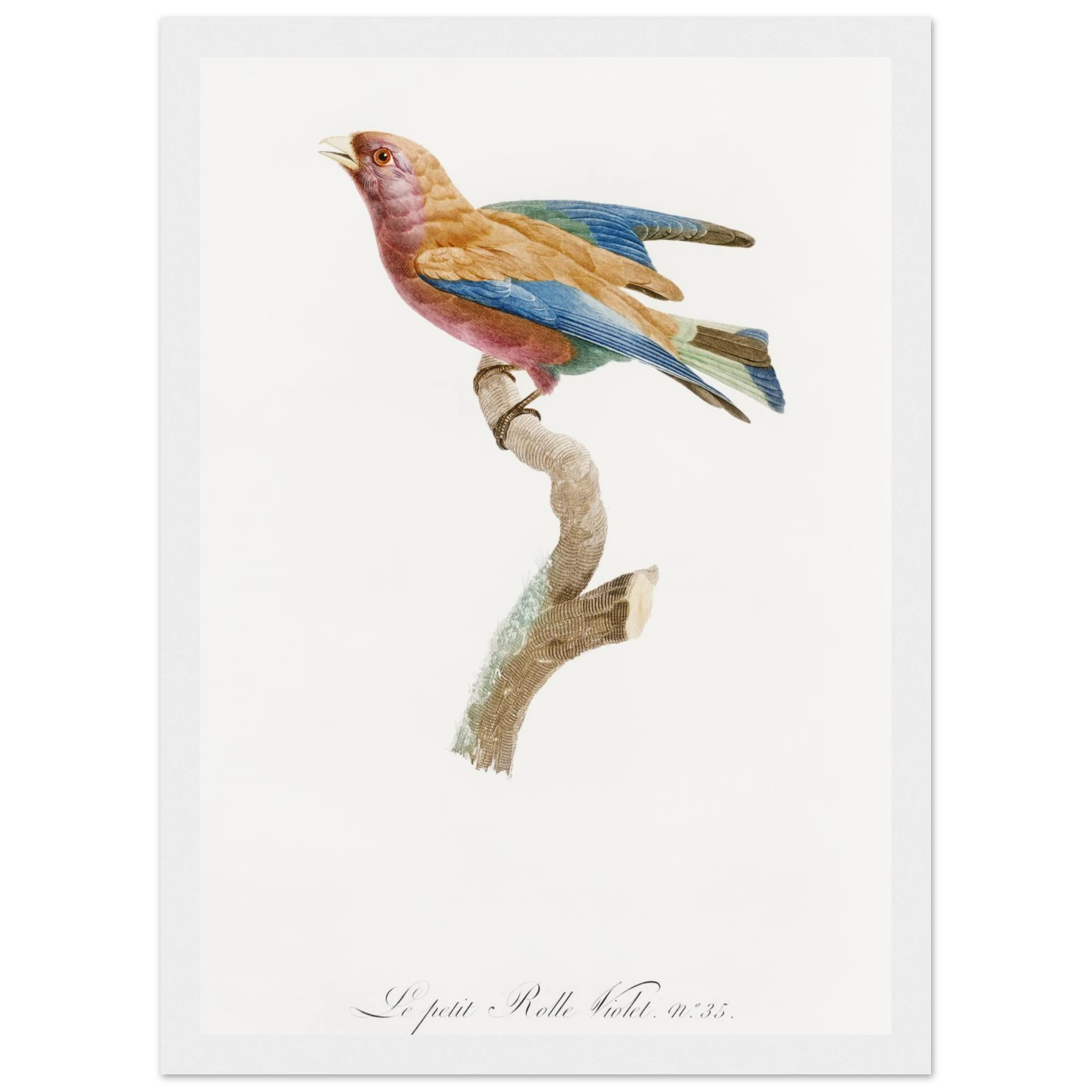 72e0c8ff-dcb6-4c09-8f1a-d542bc303da8