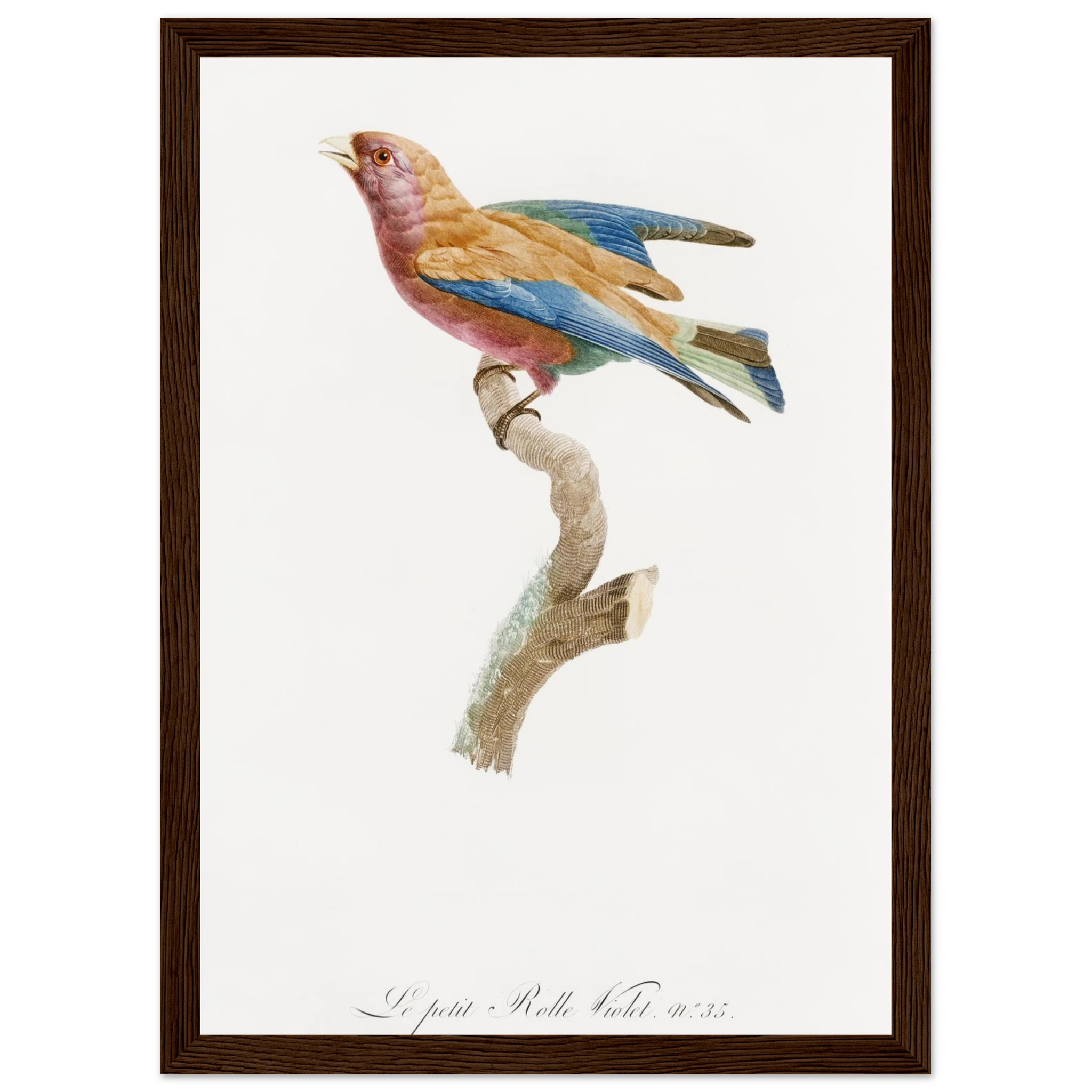 73325118-16c0-4826-a276-2bd62e5f279a