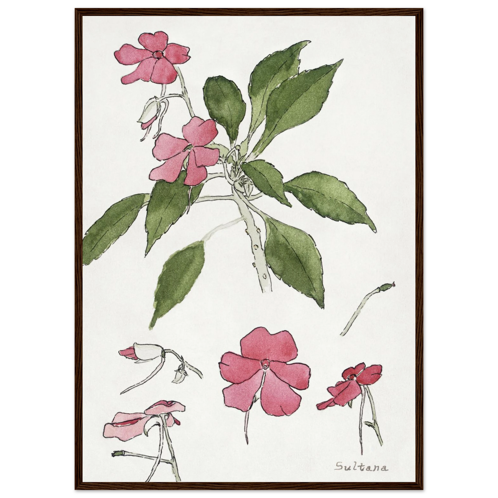 736c55b6-0fef-4dbd-bdb8-d6a3a8148385