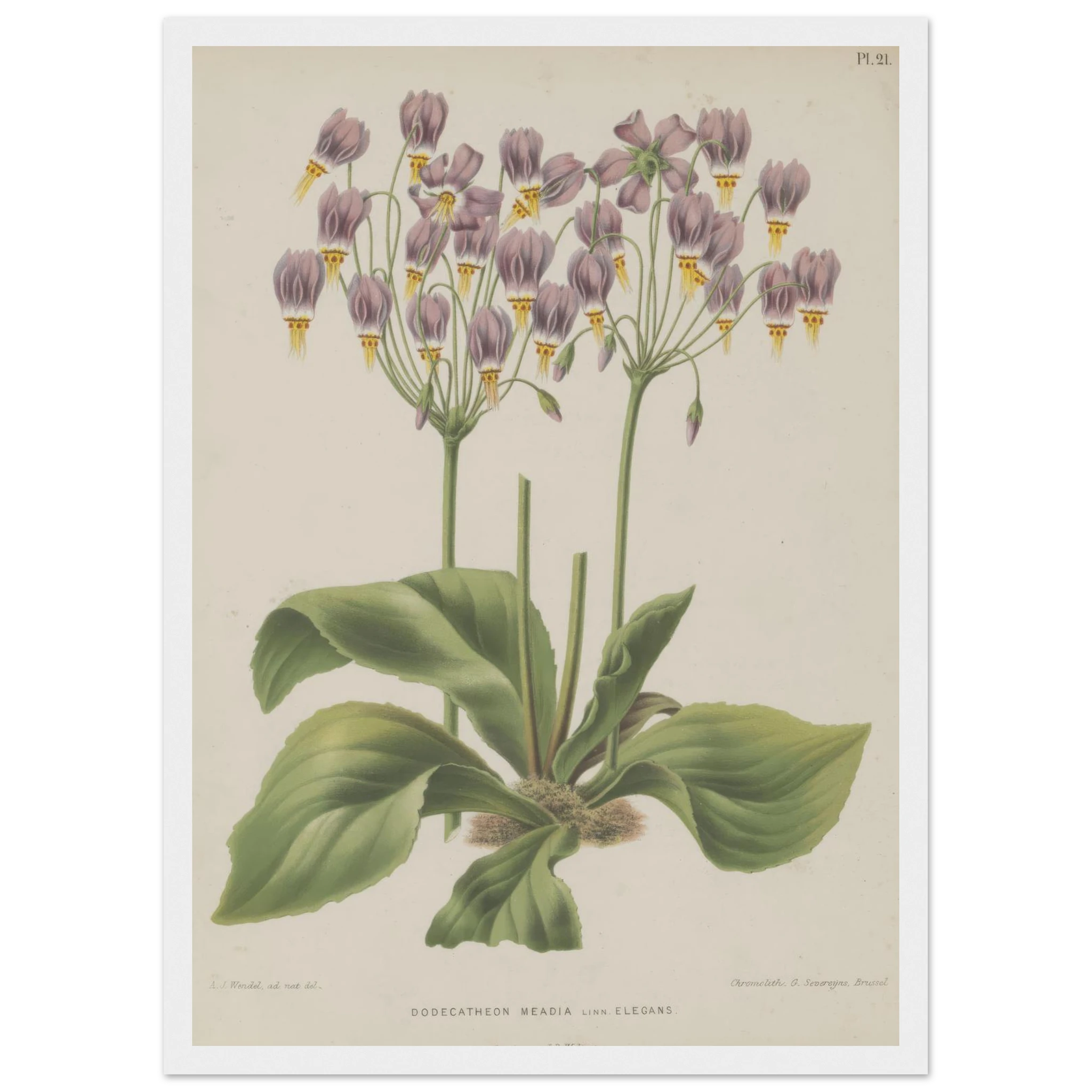 73ad1038-7ff5-4971-91b2-431f04aa7c20