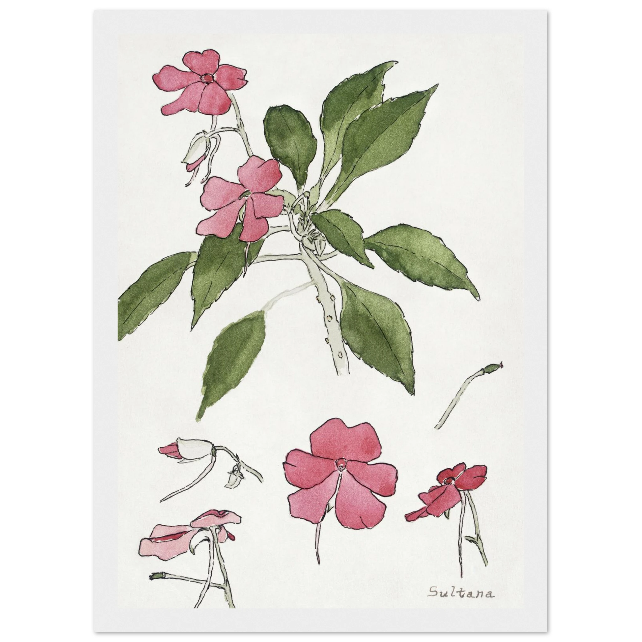 73b3051a-28bb-42a7-9079-192b6aefe2a0