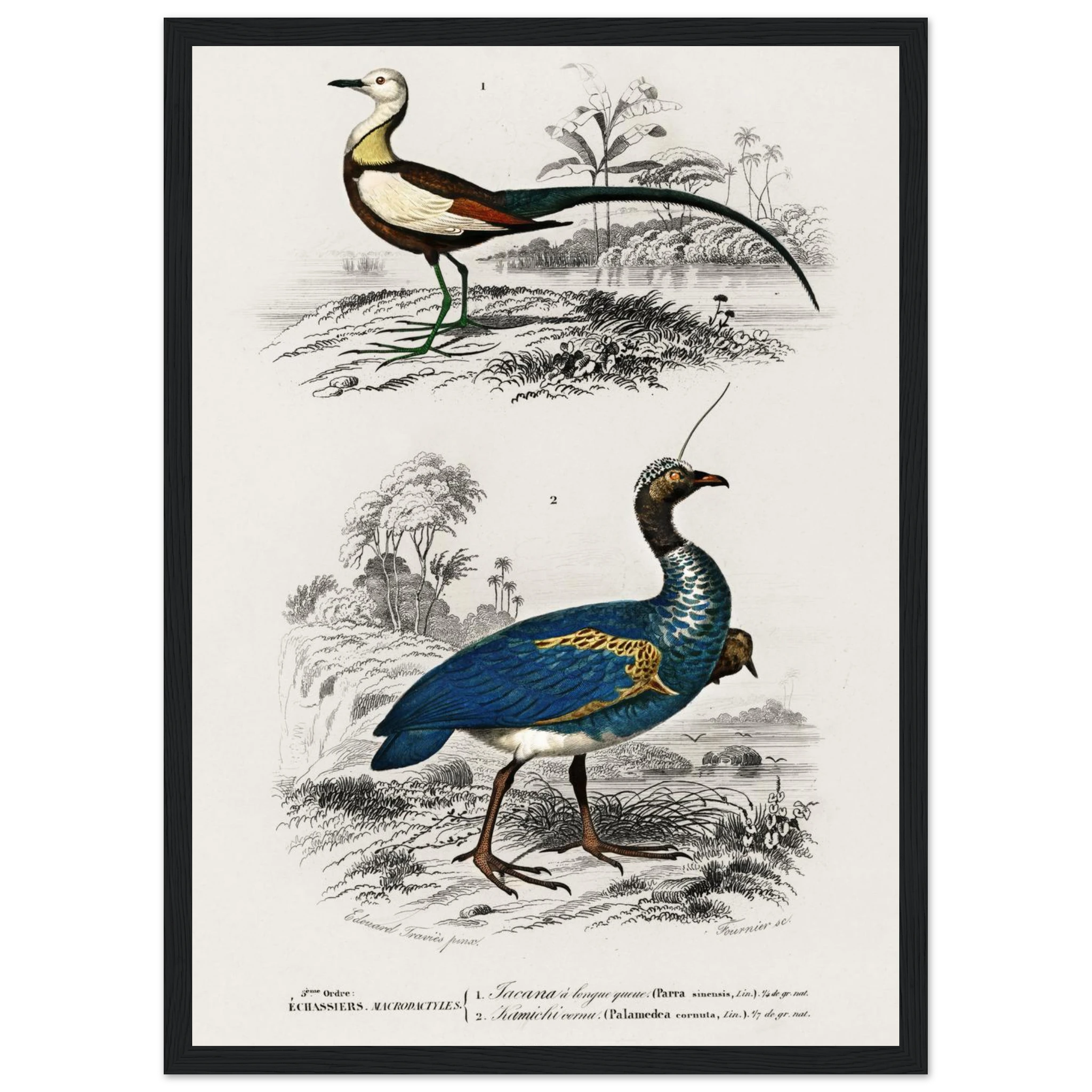 73d9ef6d-a479-472a-ba24-9d3d12e5587f