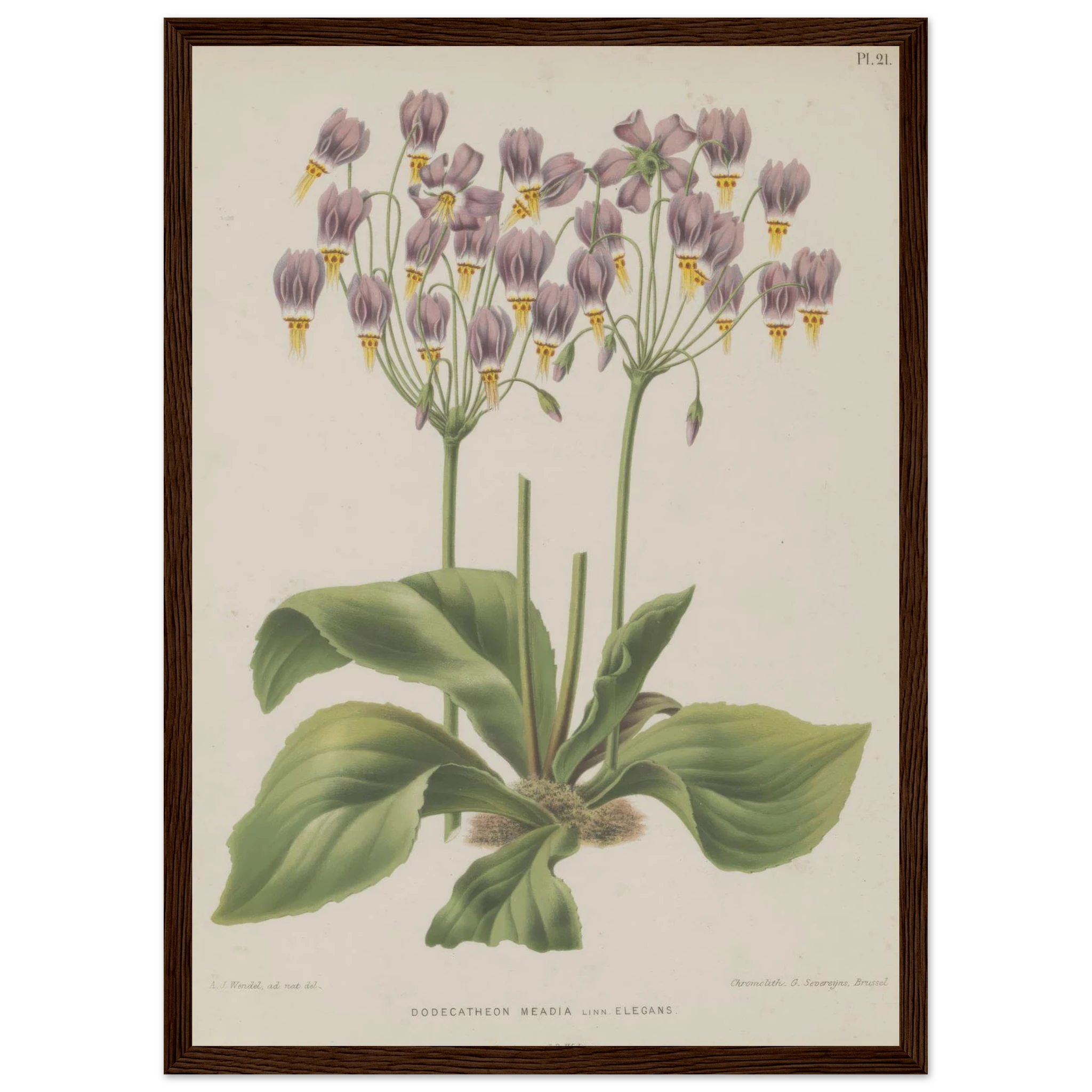 73e1940e-0bb3-44b5-a02d-827f4979c614