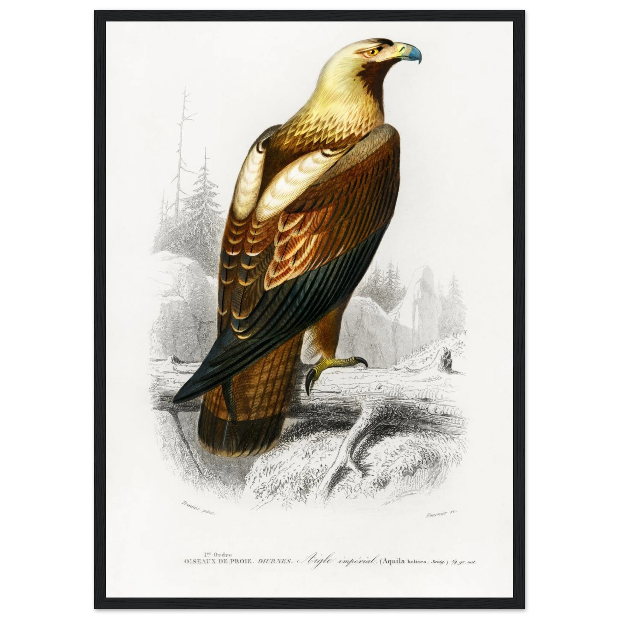 73f73e25-6589-4e68-a3a3-961e272f1175