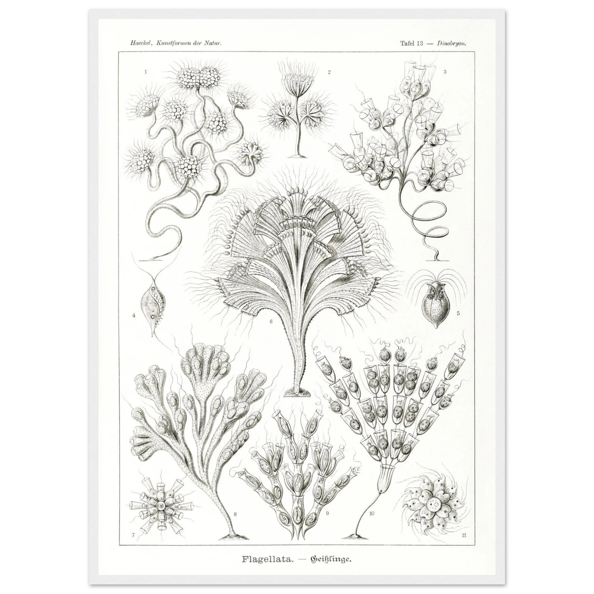 7406be22-fabc-4349-8799-e7e4b6ec8a5d