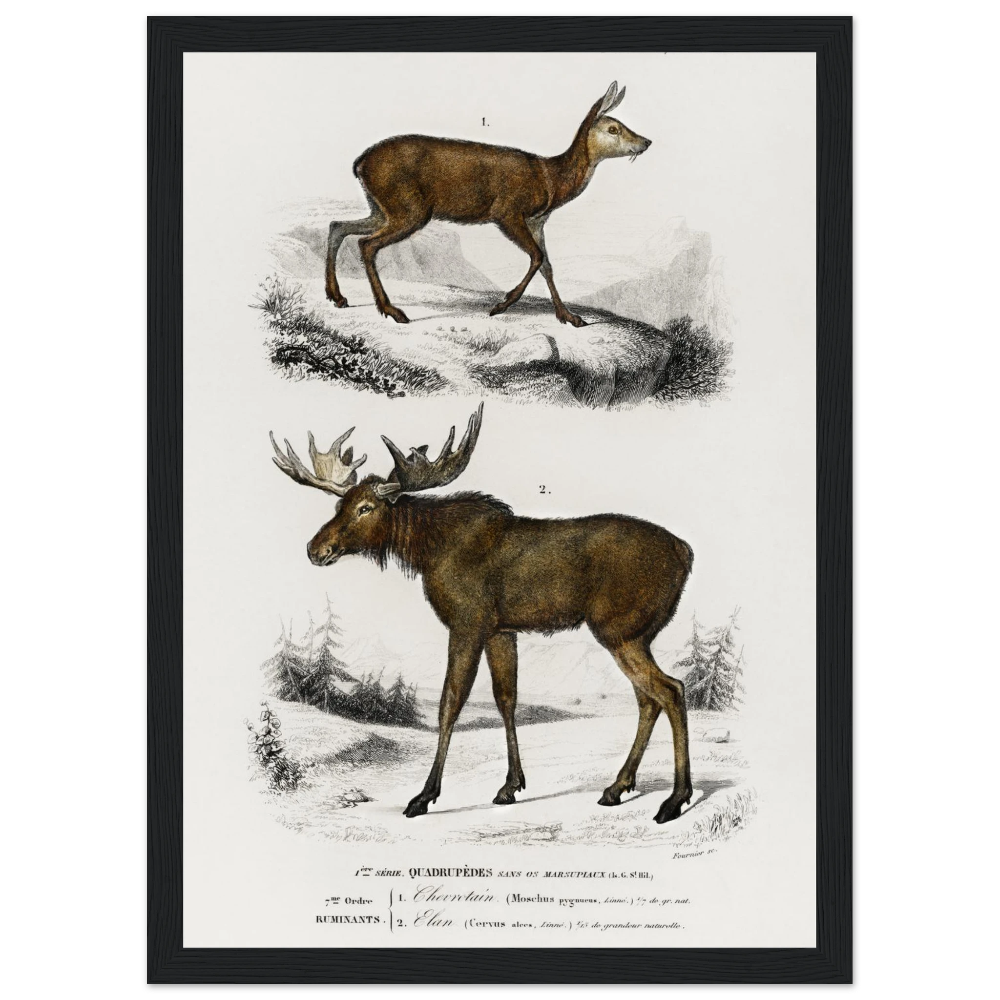 74178374-f39a-496d-8632-1e3e4429abd4