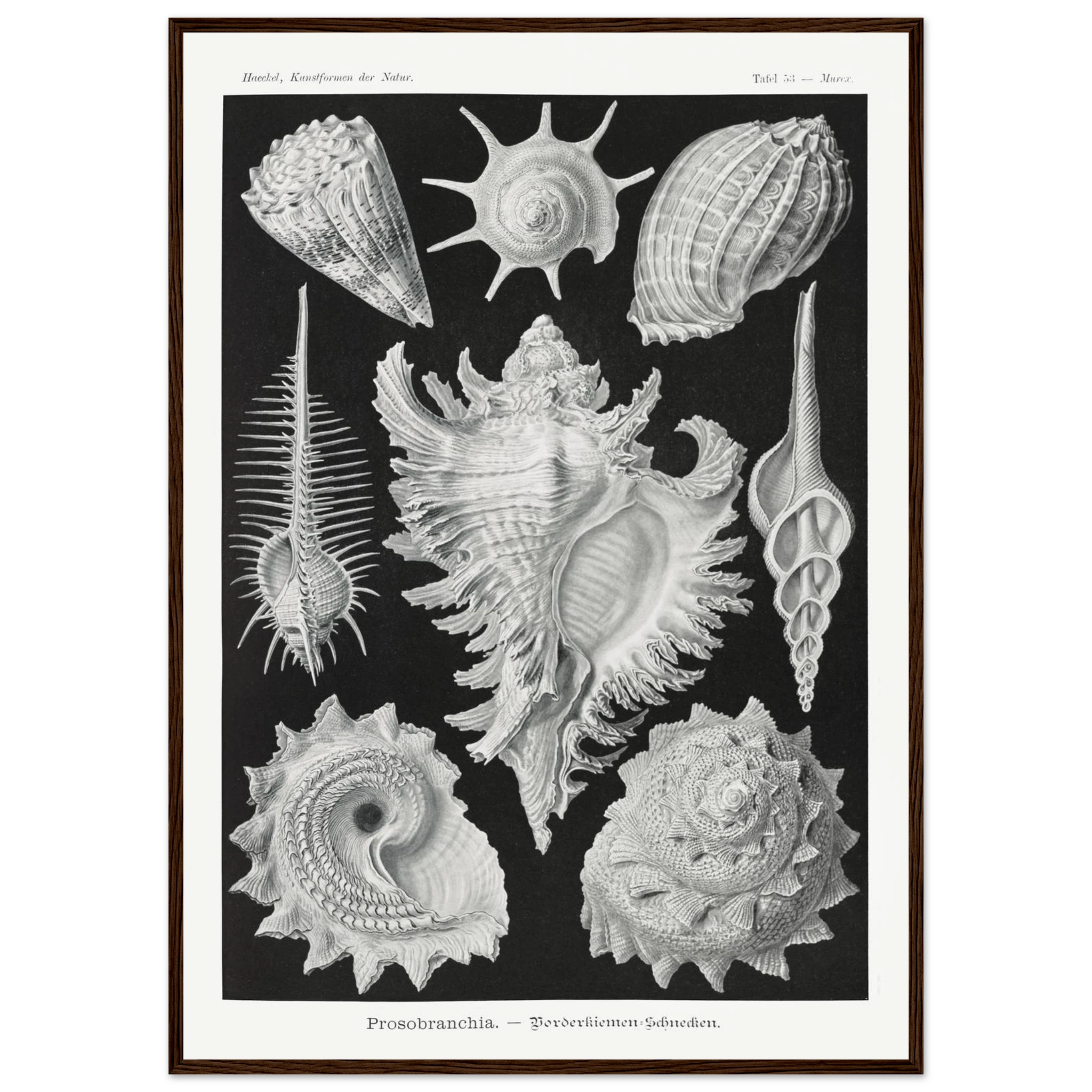 741d4ab5-1eb4-4ddb-8e3a-ca0e57687ab9