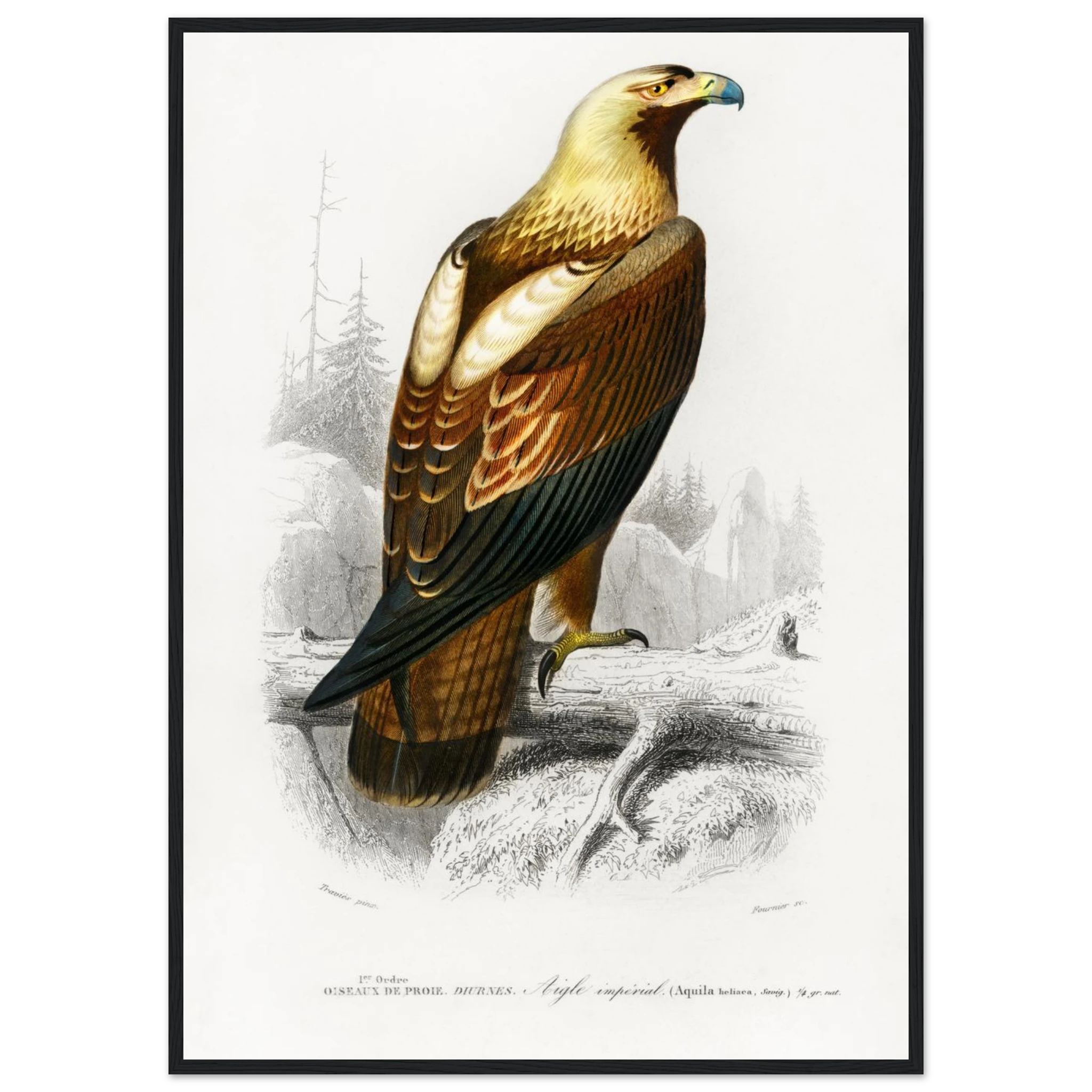 7466d557-076d-4ab4-9fe3-cdf12637883f