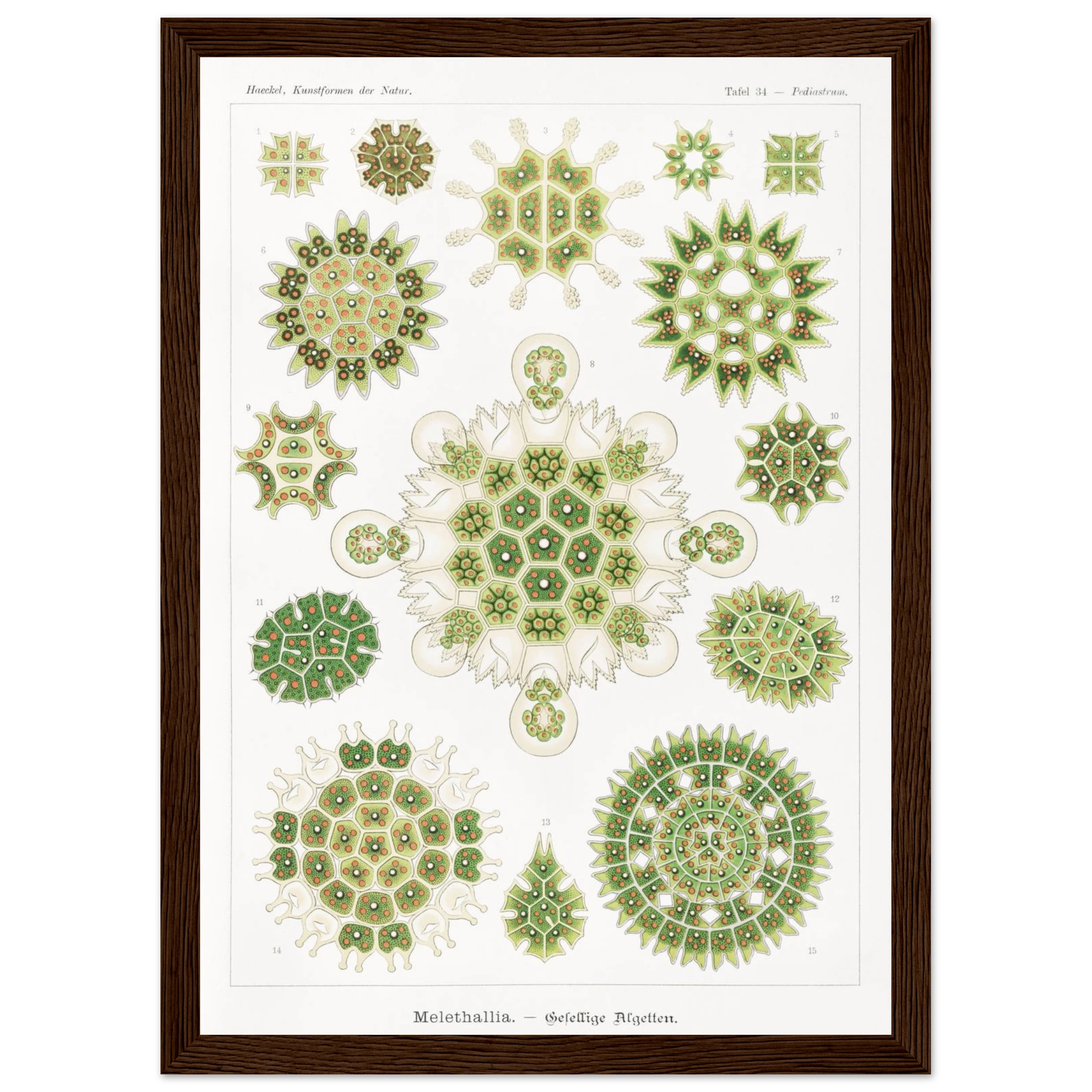 74abc85f-3ed4-42fb-a7a4-127c1355fc3e